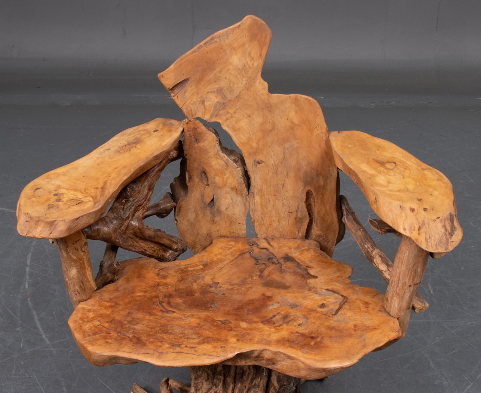 Skulpturaler organischer Stuhl aus Teakholzwurzel im Stil von Daryl Stokes  im Angebot 1