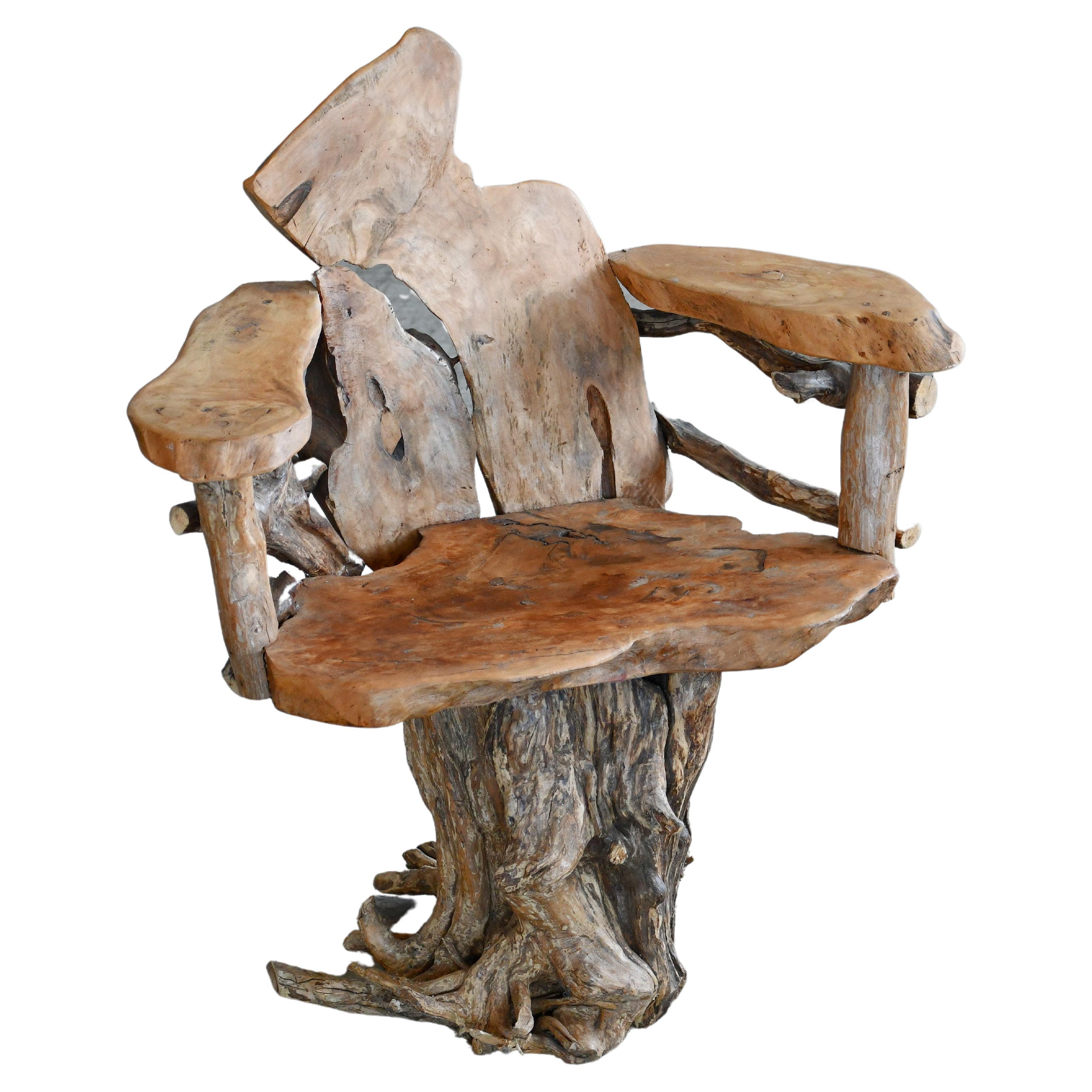 Skulpturaler organischer Stuhl aus Teakholzwurzel im Stil von Daryl Stokes  im Angebot