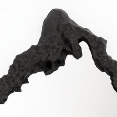 Una mente maravillosa - Espejo escultórico de piedra orgánica en negro by Odditi