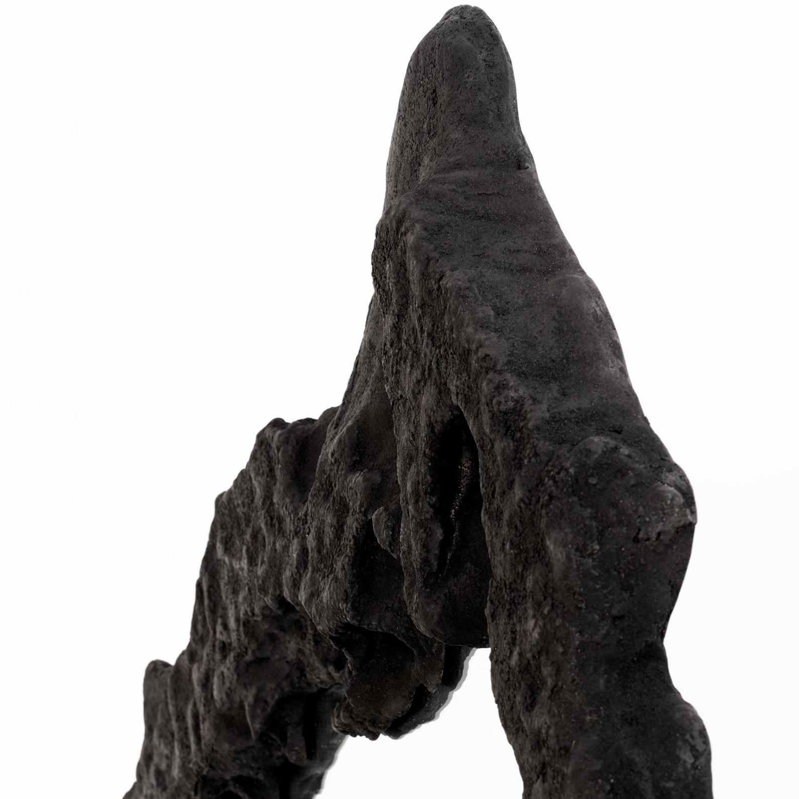 A Beautiful Mind - • Skulpturaler organischer Steinspiegel in Schwarz von Odditi (Australisch) im Angebot