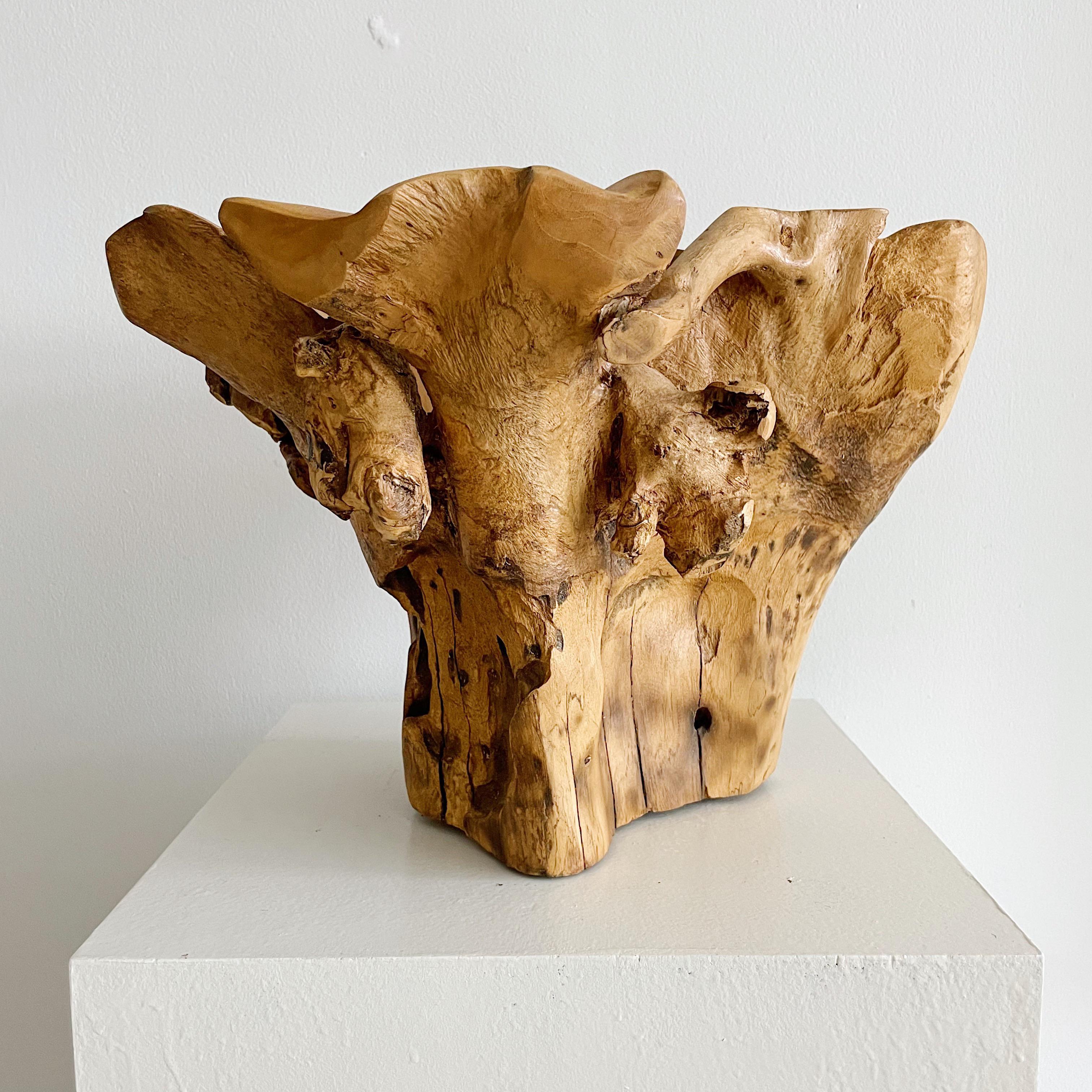For sale is a large, freeform organic wood bowl. This unique piece features a one-of-a-kind design and is perfect for use as a centerpiece in any room. Though unsigned, the beauty and craftsmanship of this bowl speak for themselves.