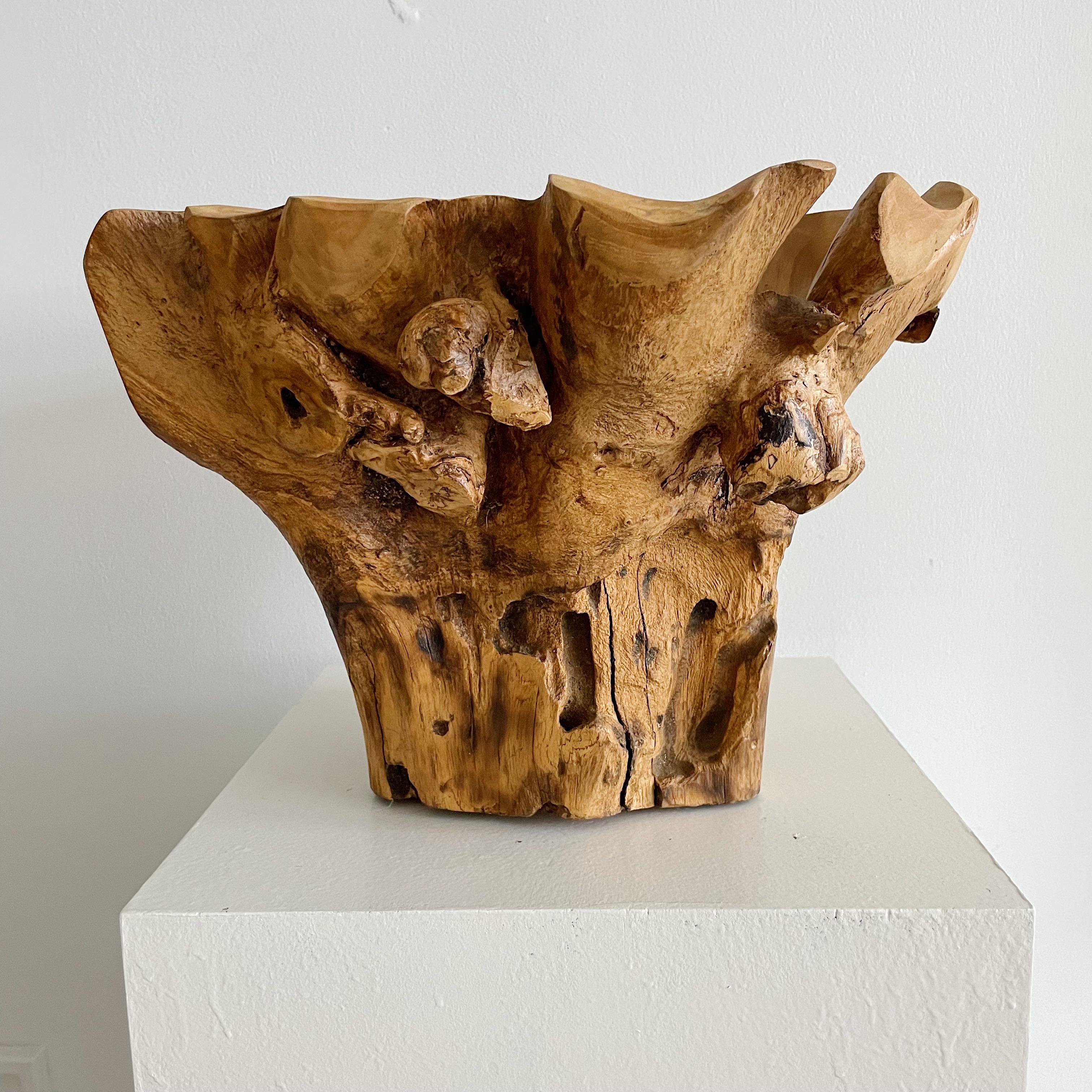 American Sculptural Organic Wood Centerpiece Bowl For Sale