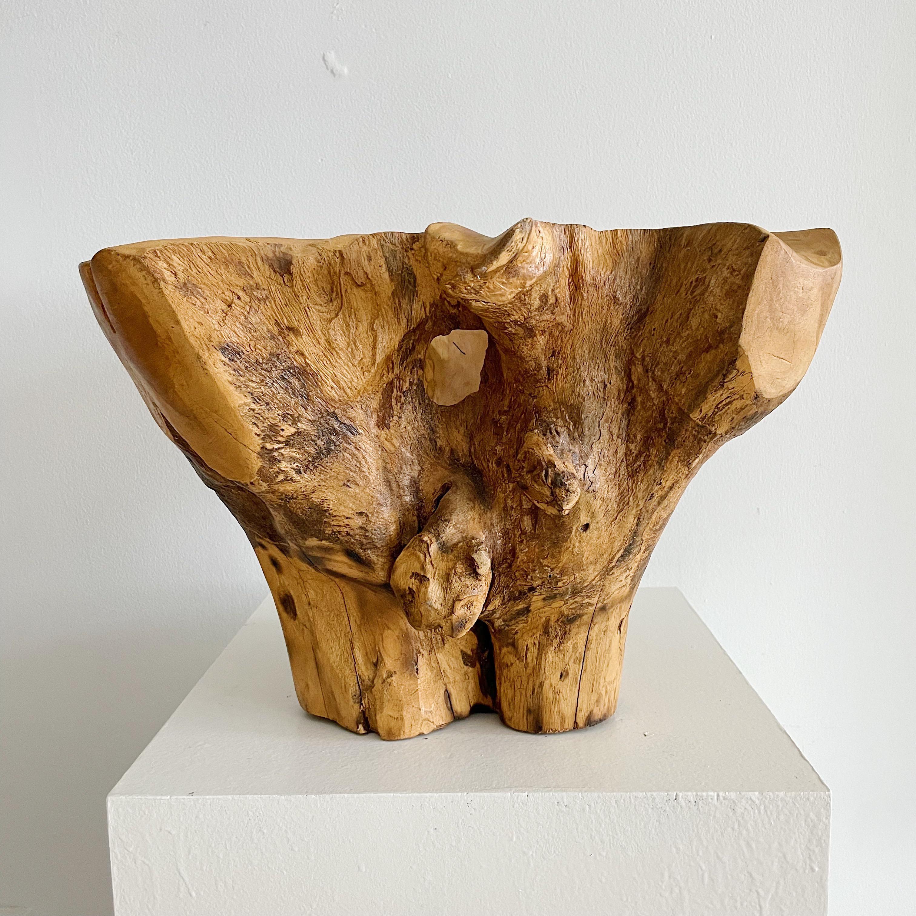 Hand-Carved Sculptural Organic Wood Centerpiece Bowl For Sale