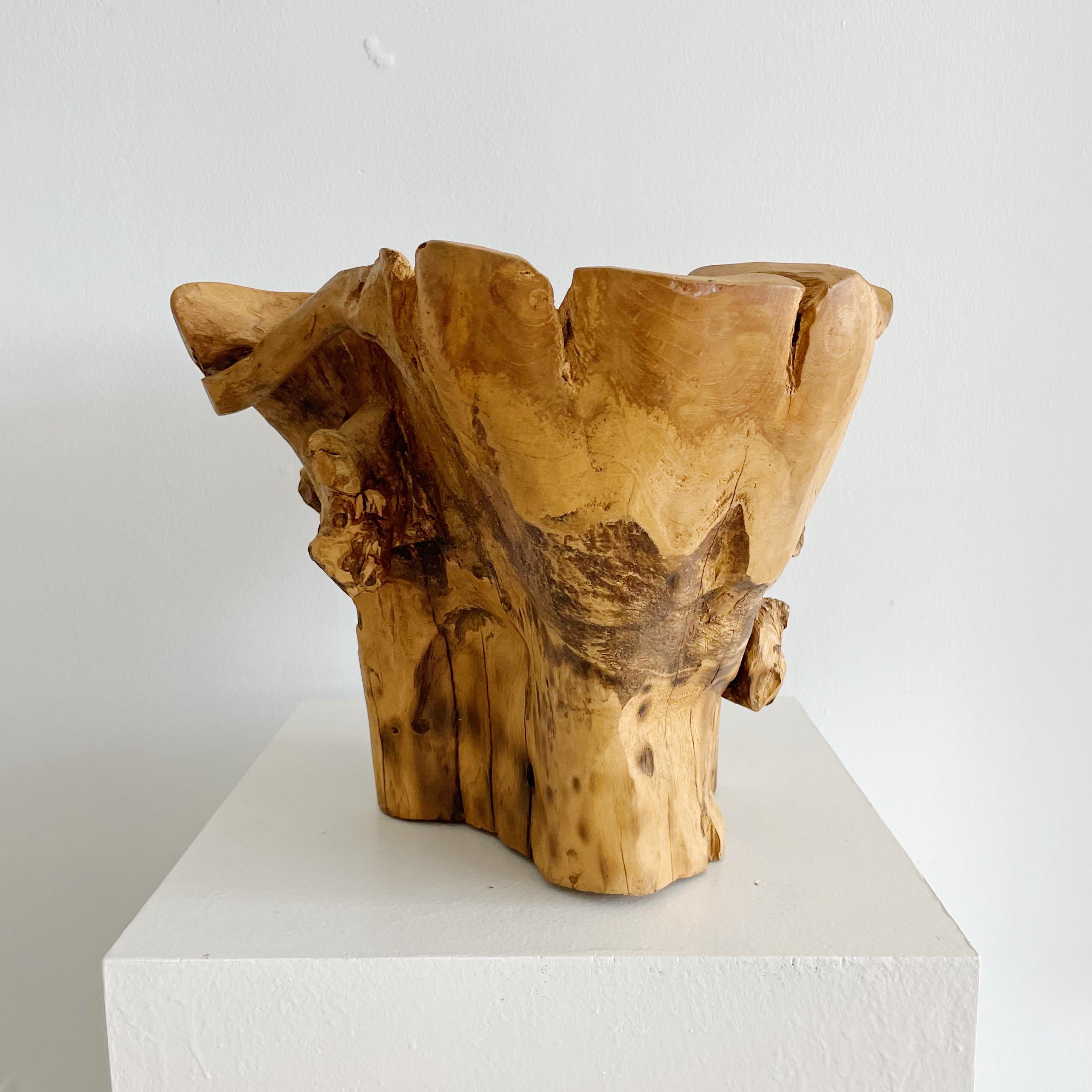 Sculptural Organic Wood Centerpiece Bowl In Good Condition For Sale In West Palm Beach, FL