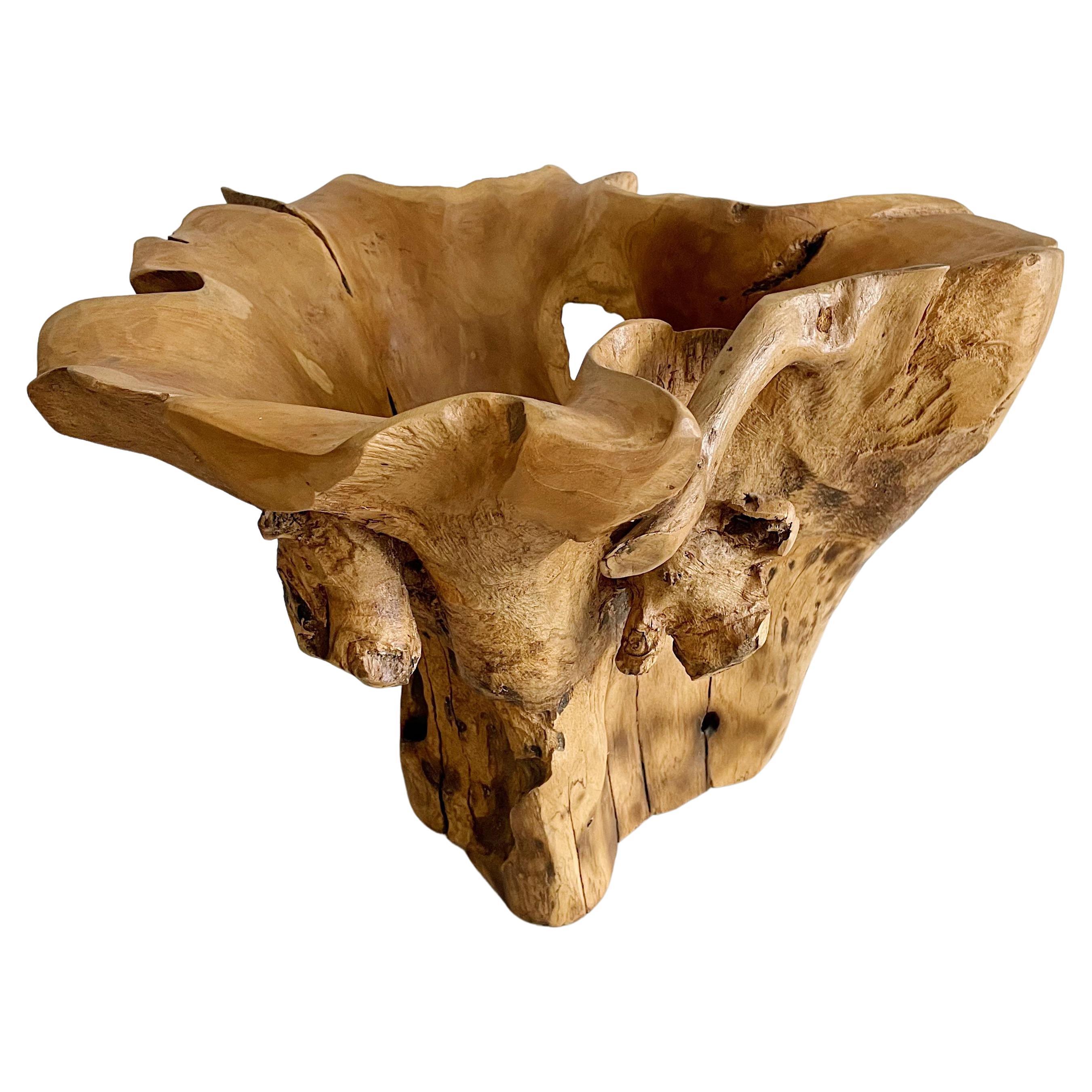 Sculptural Organic Wood Centerpiece Bowl For Sale