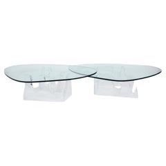 Sculptural Pair of Free Form Coffee Tables in Lucite with Glass Tops, 1970s