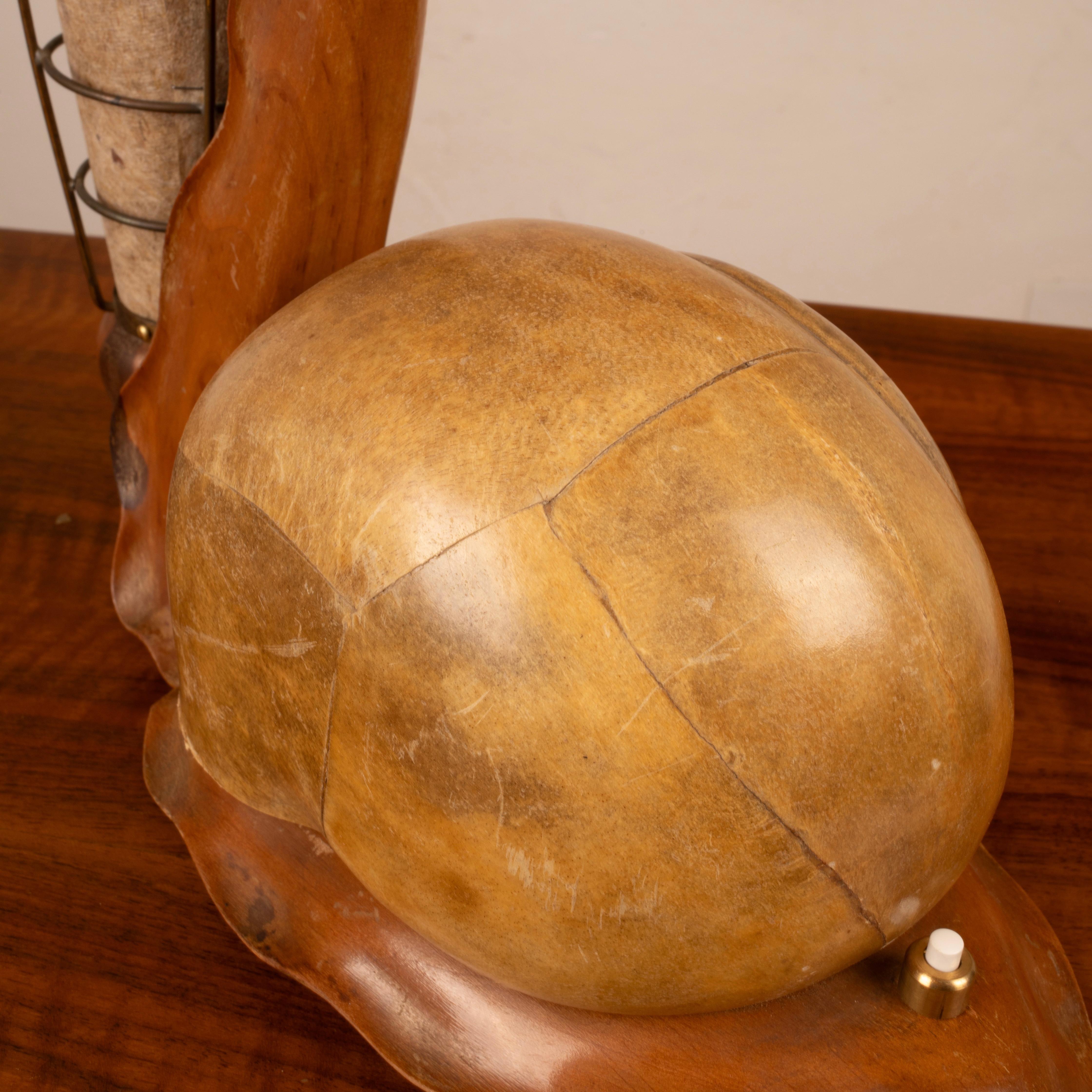 Sculptural Parchment Lamp by Aldo Tura, Italy, Mid-1950s im Angebot 7