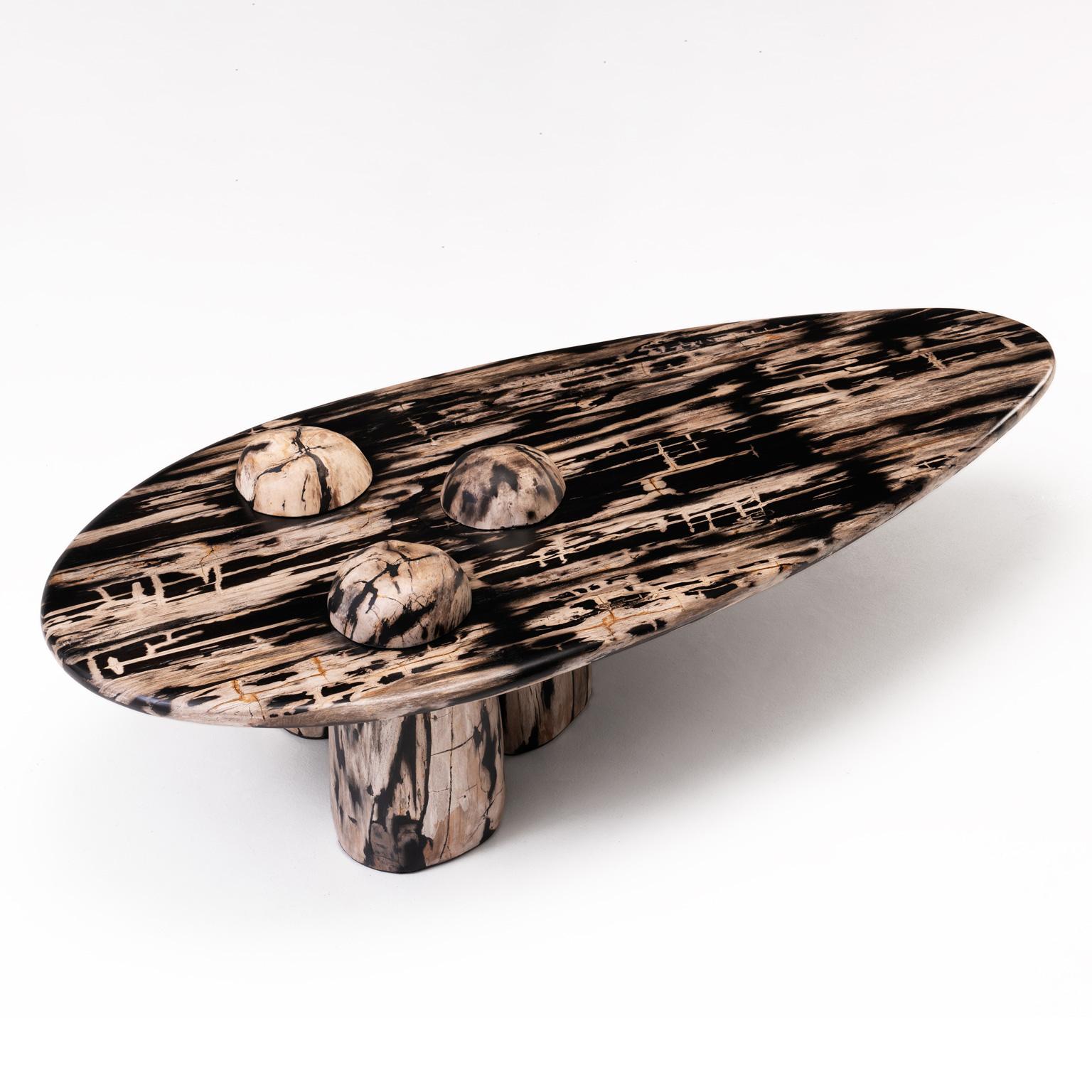 Felsige Montage - • Skulpturaler Couchtisch aus versteinertem Holz von Odditi (Organische Moderne) im Angebot