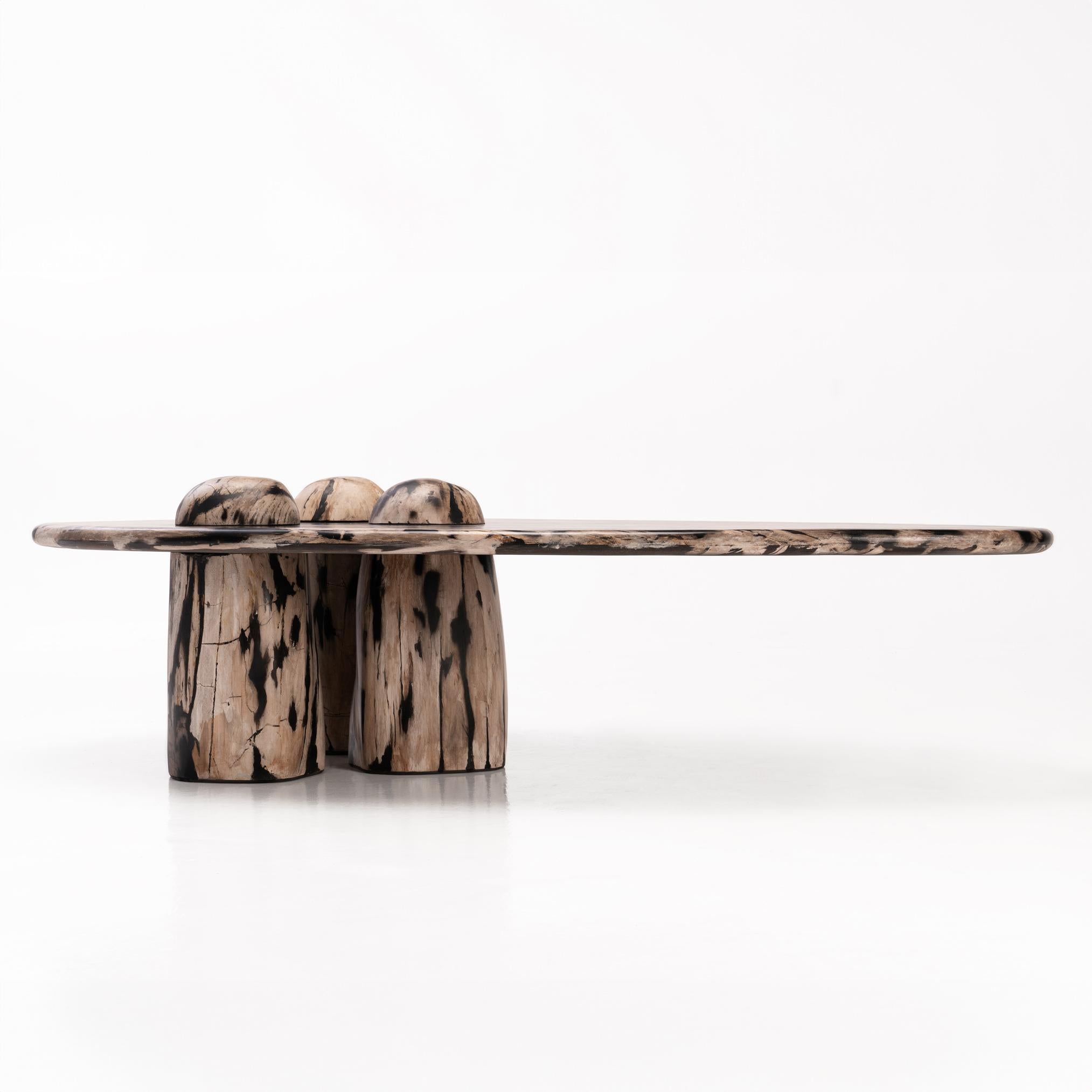 Felsige Montage - • Skulpturaler Couchtisch aus versteinertem Holz von Odditi (Australisch) im Angebot