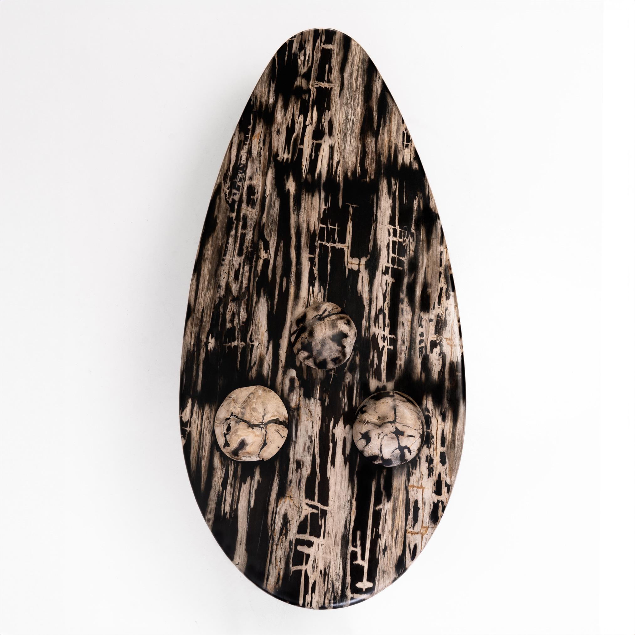 Felsige Montage - • Skulpturaler Couchtisch aus versteinertem Holz von Odditi (Handgeschnitzt) im Angebot