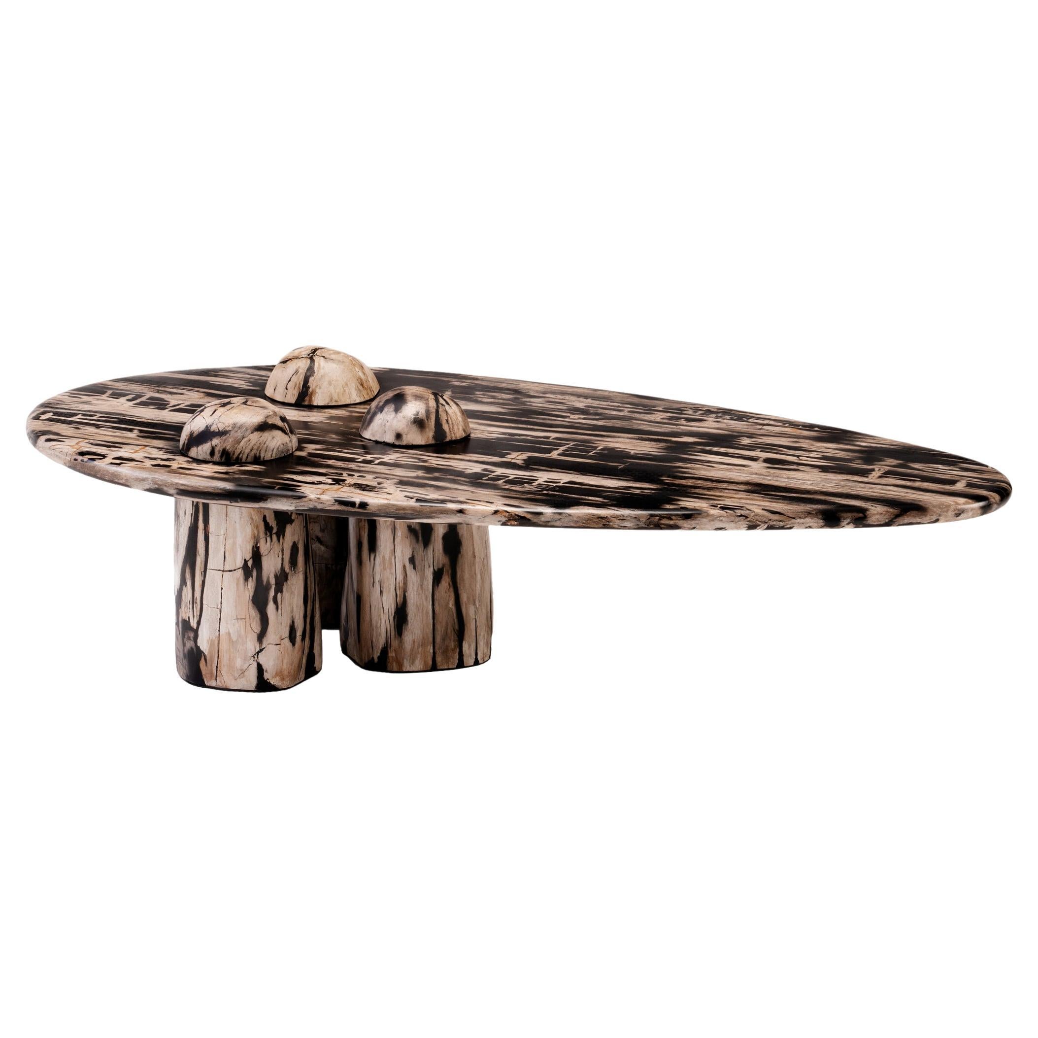 Rocky Montage • Sculptural Petrified Wood Coffee Table by Odditi For Sale