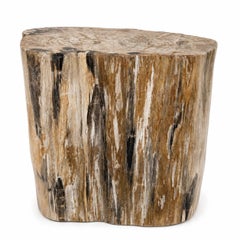Sculptural Petrified Wood Side Table  Organic Modern Fossil Stone Pedestal