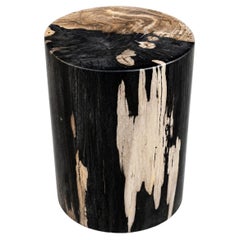 Sculptural Petrified Wood Side Table Organic Modern Fossil Stone Pedestal