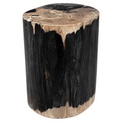 Sculptural Petrified Wood Side Table Organic Modern Fossil Stone Pedestal