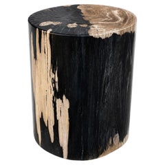 Sculptural Petrified Wood Side Table Organic Modern Fossil Stone Pedestal