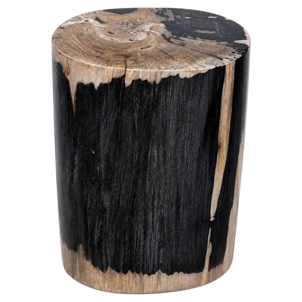 Sculptural Petrified Wood Side Table Organic Modern Fossil Stone Pedestal For Sale