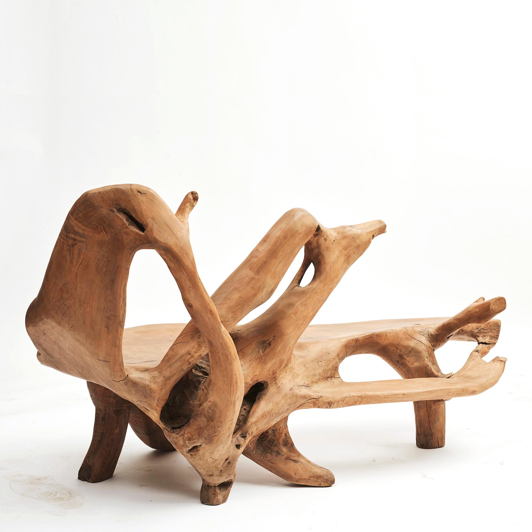 Sculptural Philippine Molave Root Bench 1