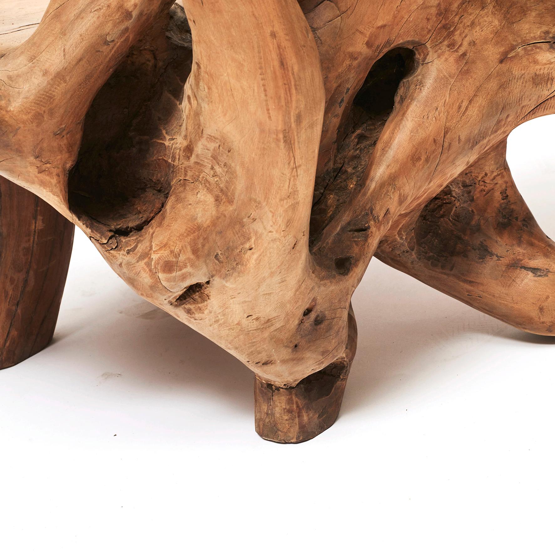 Sculptural Philippine Molave Root Bench 4