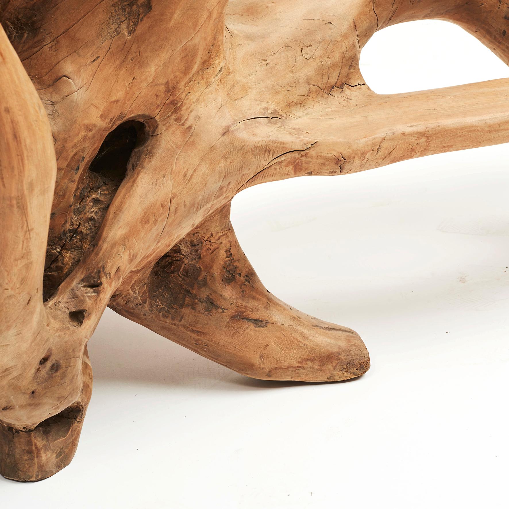 Sculptural Philippine Molave Root Bench 5
