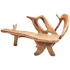 Sculptural Philippine Molave Root Bench