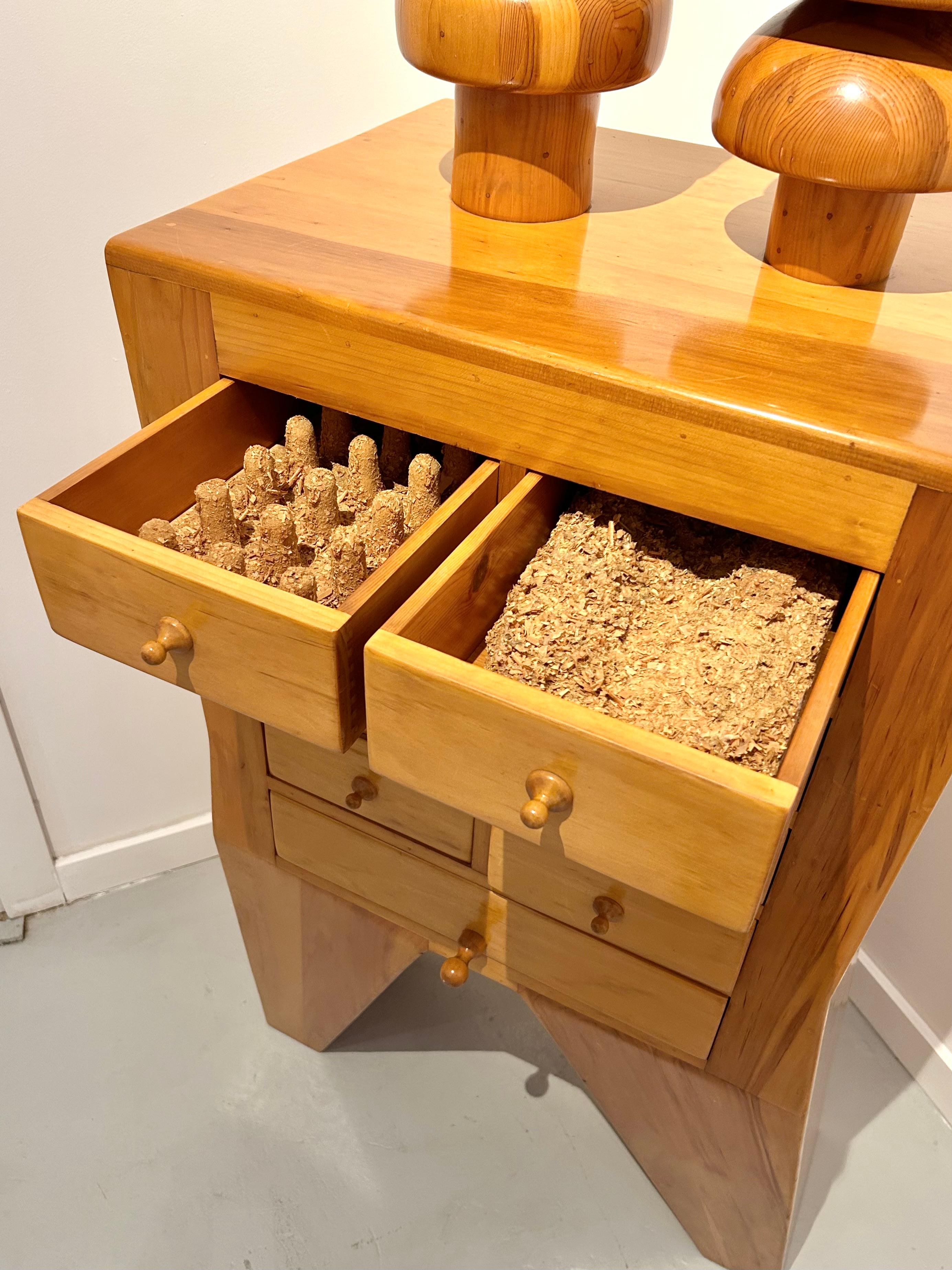 Armadio scultura in Wood di Mike Nevelson in vendita 8