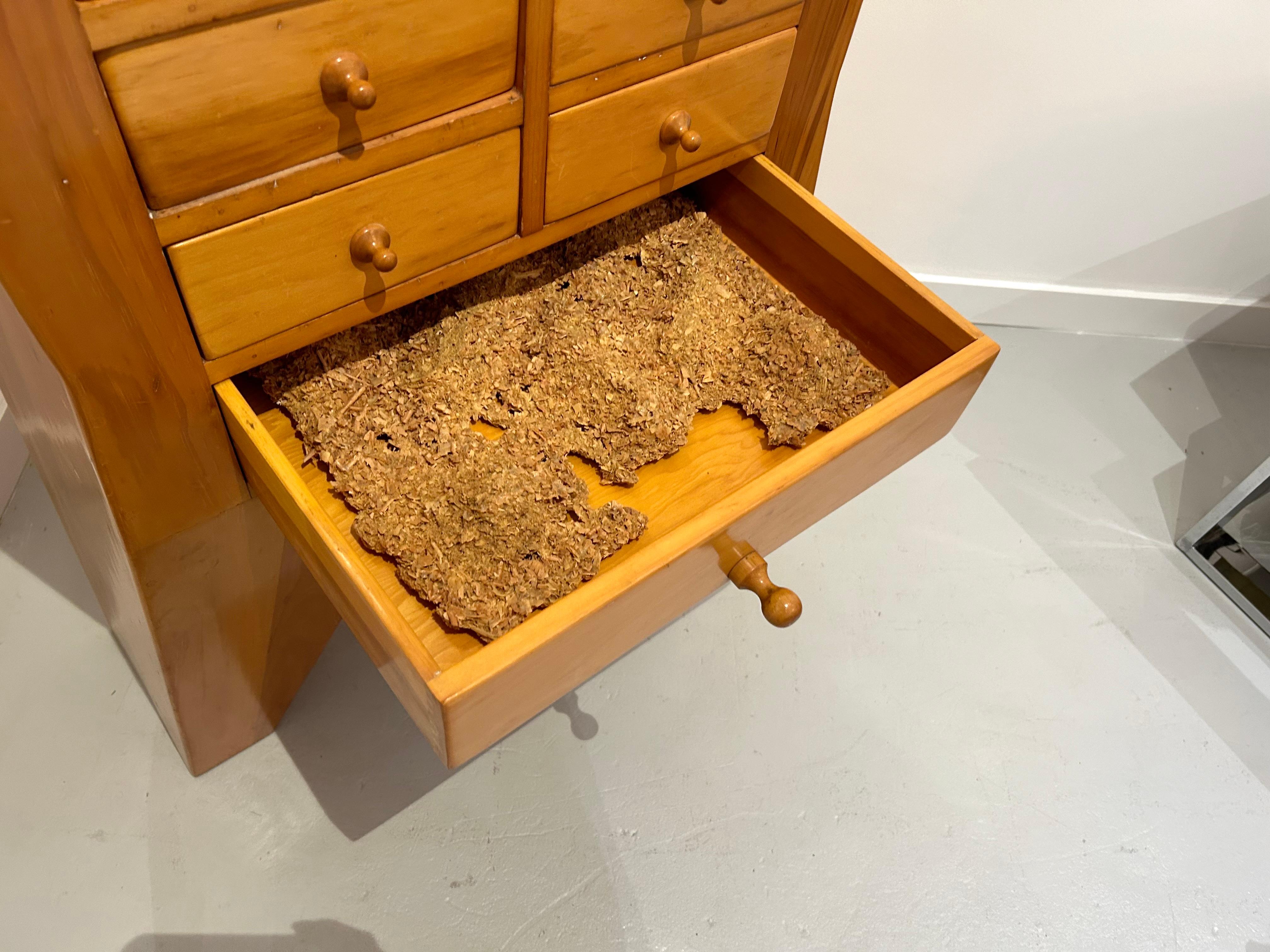 Armadio scultura in Wood di Mike Nevelson in vendita 11