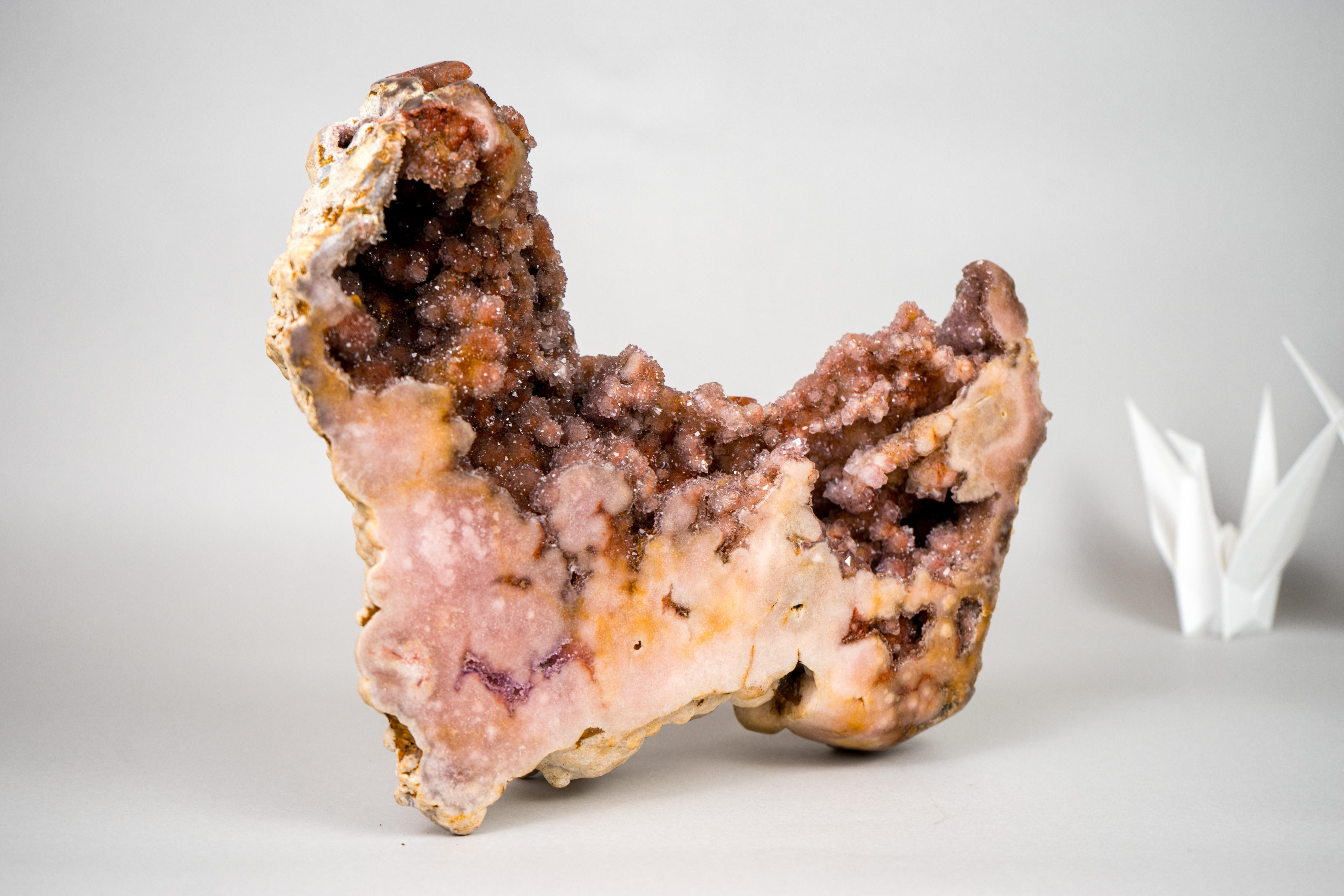 Rote und rosa Amethyst-Geode mit Zucker-Druzy

▫️ Beschreibung

Diese zarte rosa Amethyst-Geode, die von der Natur in Form eines charmanten kleinen Hundes geformt wurde, zeigt wunderschöne Merkmale wie schimmernden Zucker-Druzy, seltene Formationen