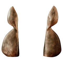 Sculptural Polished Bronze and Iron Fireplace Andirons by Simone Bodmer-Turner