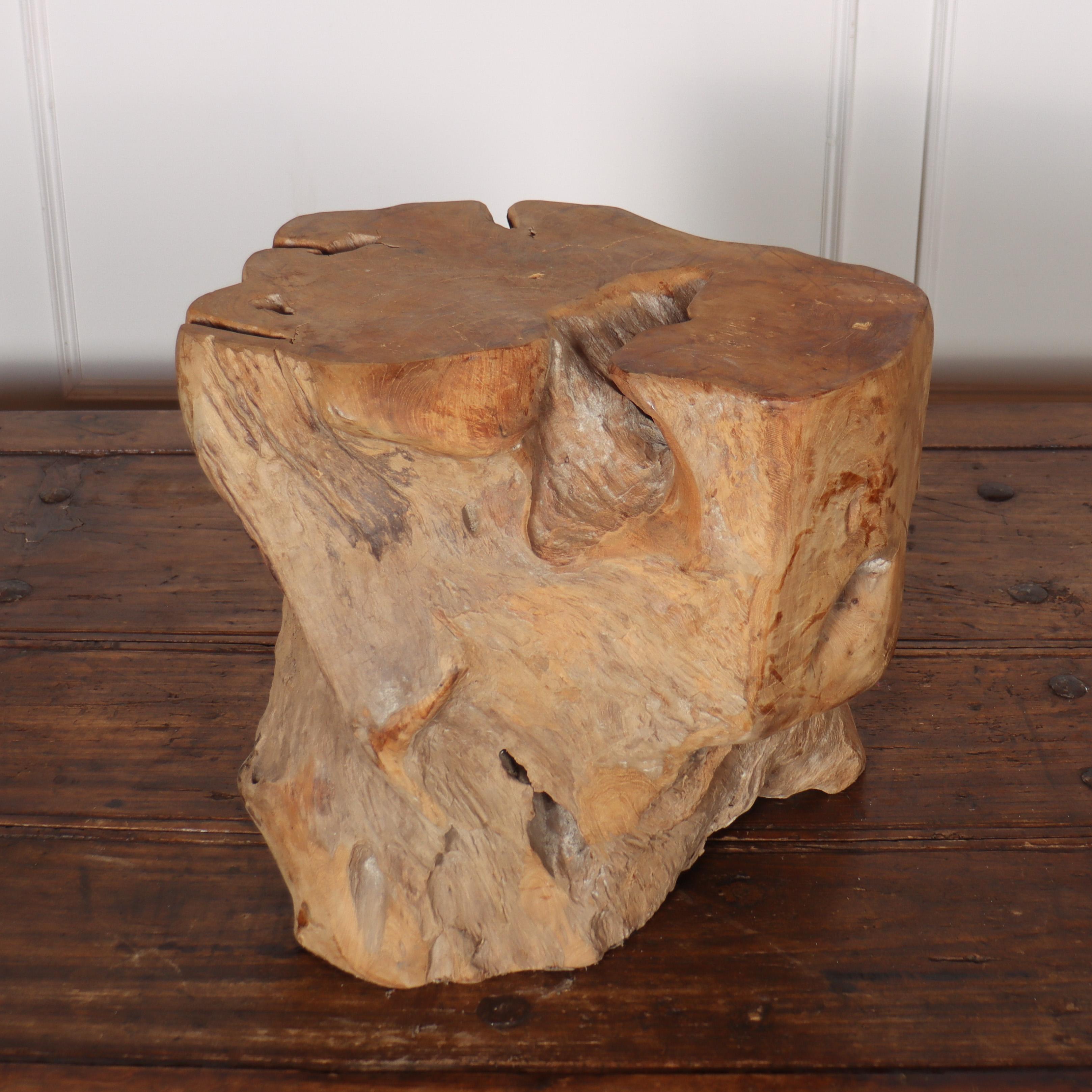 Sculptural rustic root side table.

Ref: A.

Reference: 8144

Dimensions
20 inches (51 cms) Wide
20 inches (51 cms) Deep
19 inches (48 cms) High