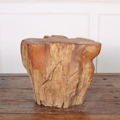 Sculptural Root Side Table