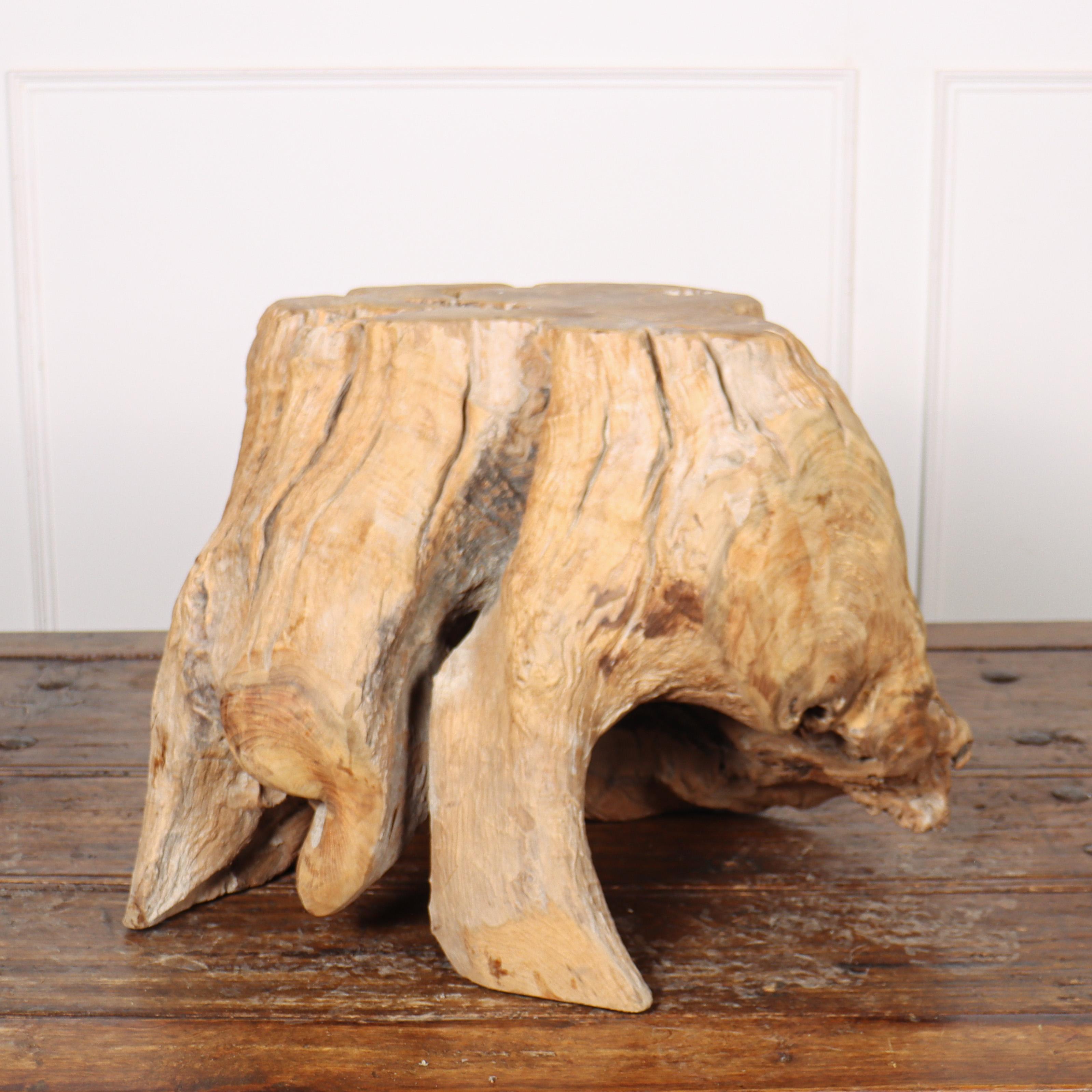 Sculptural rustic root side table.

Ref: D.

Reference: 8147

Dimensions
26 inches (66 cms) Wide
22 inches (56 cms) Deep
18.5 inches (47 cms) High