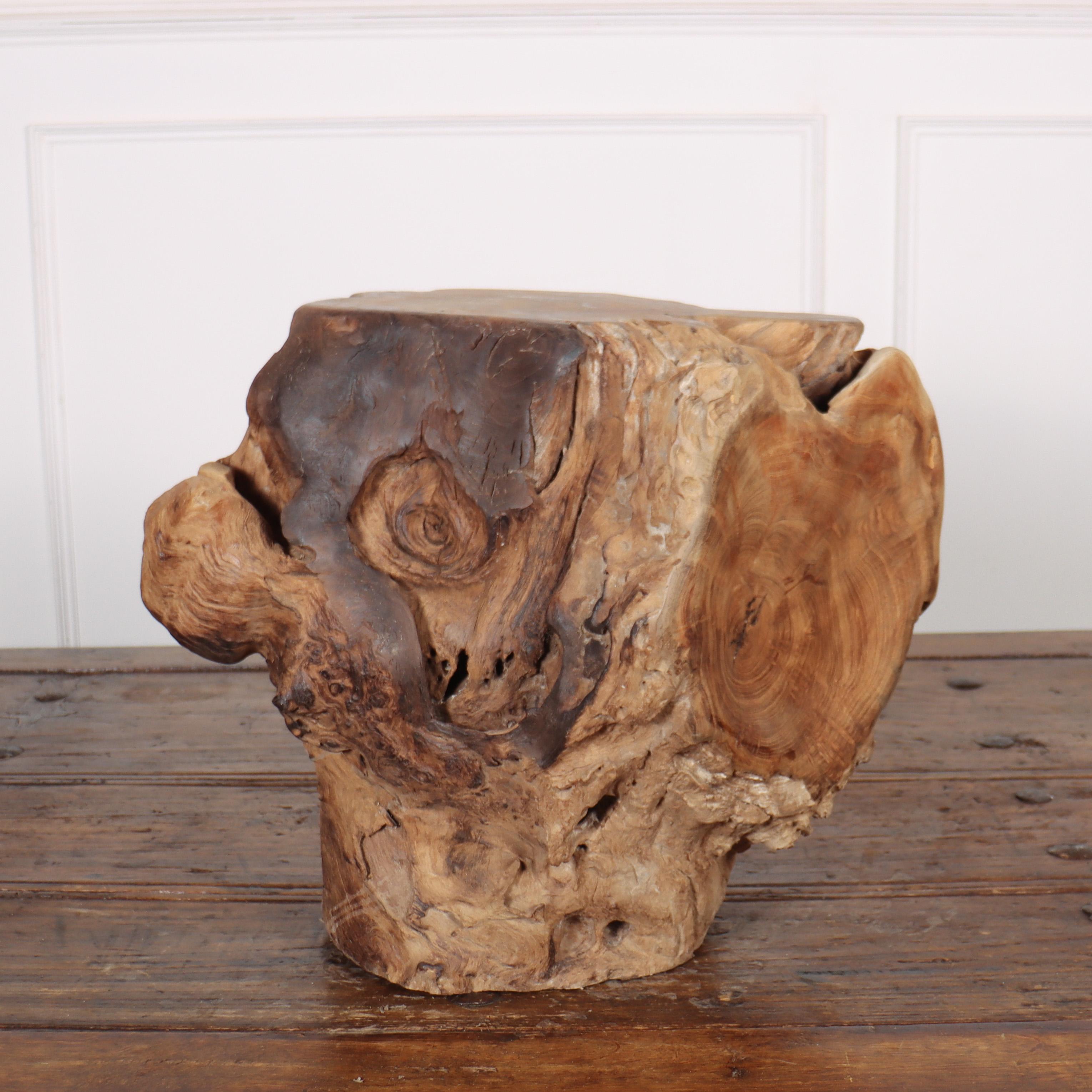 Unknown Sculptural Root Side Table For Sale