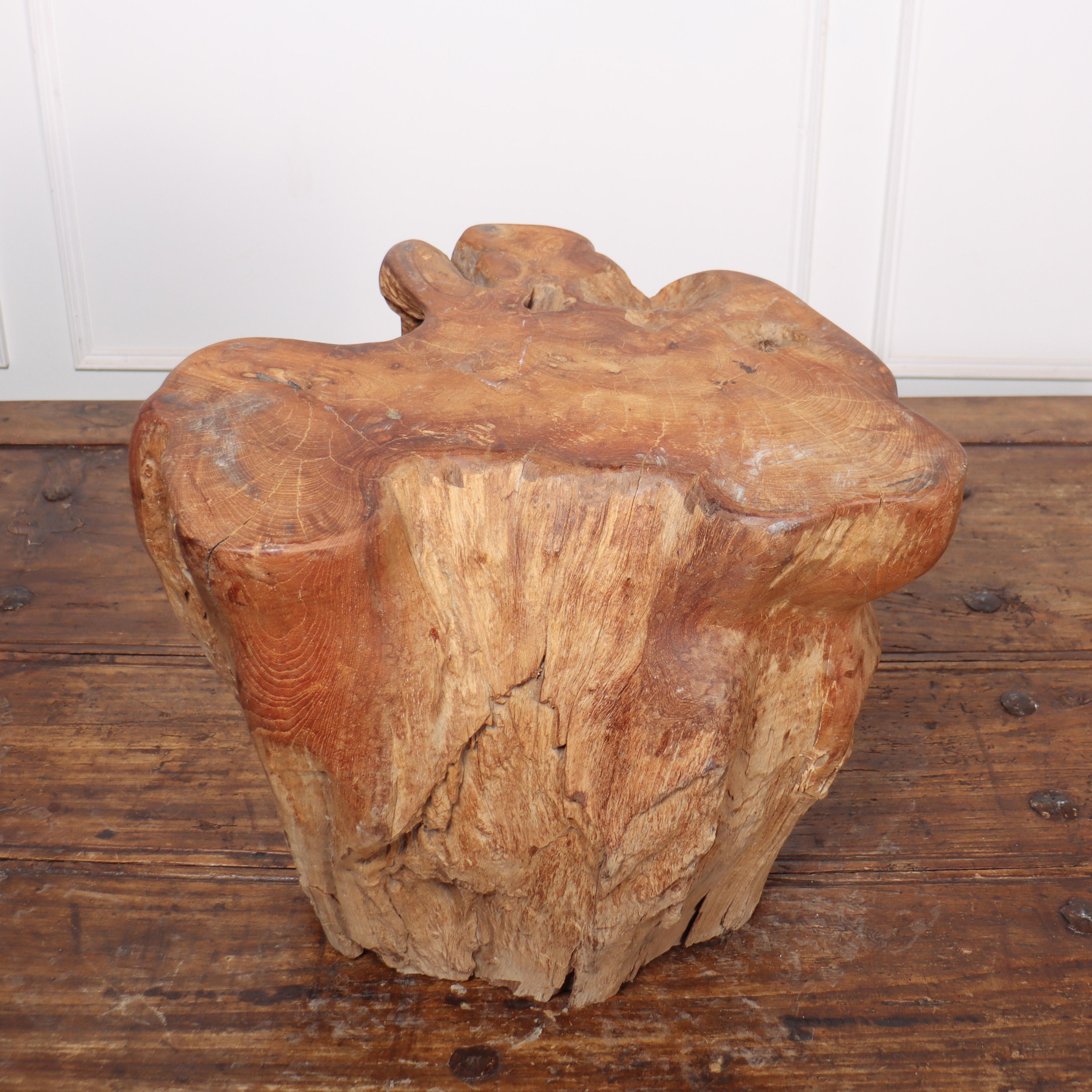 Sculptural Root Side Table In Good Condition For Sale In Leamington Spa, Warwickshire