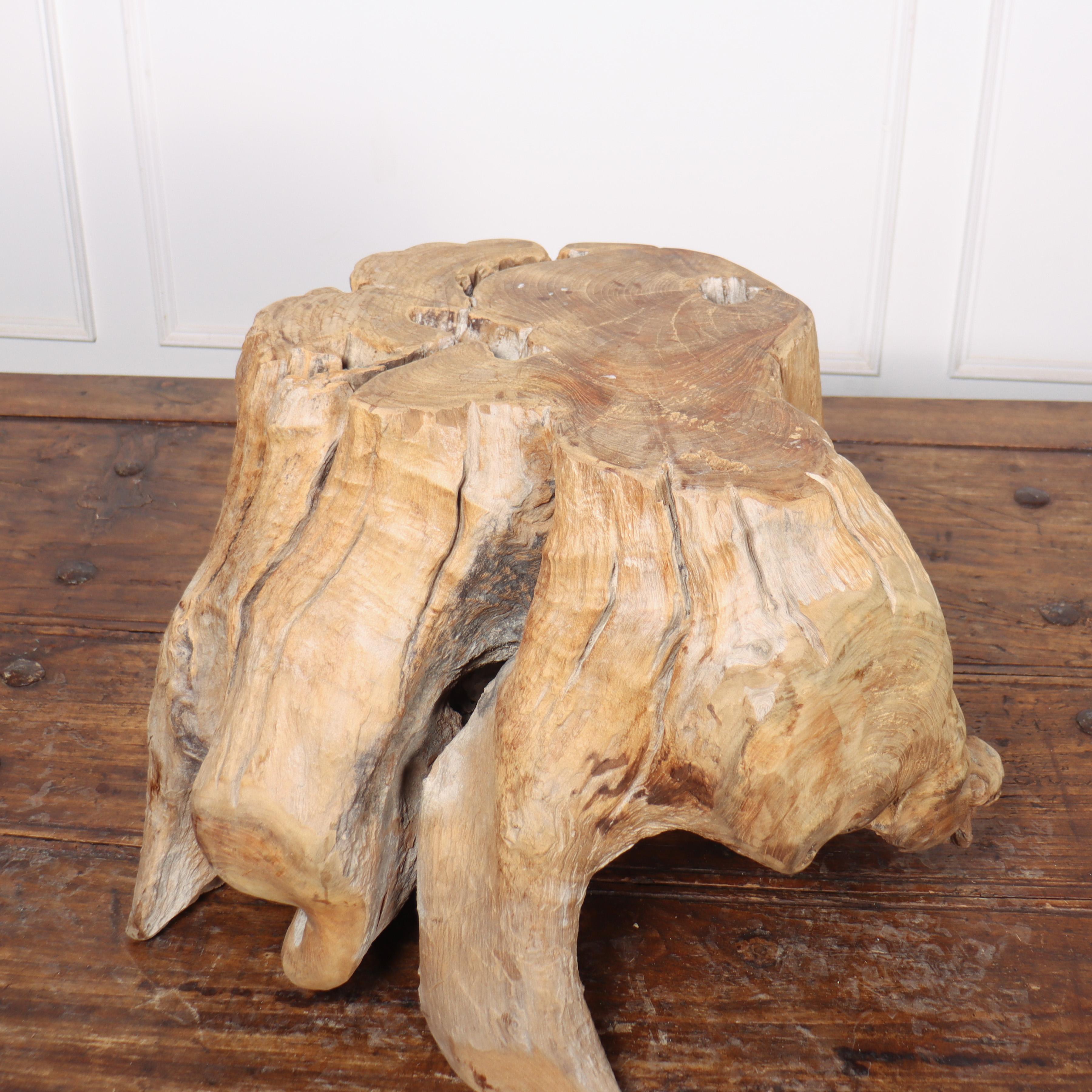 European Sculptural Root Side Table For Sale
