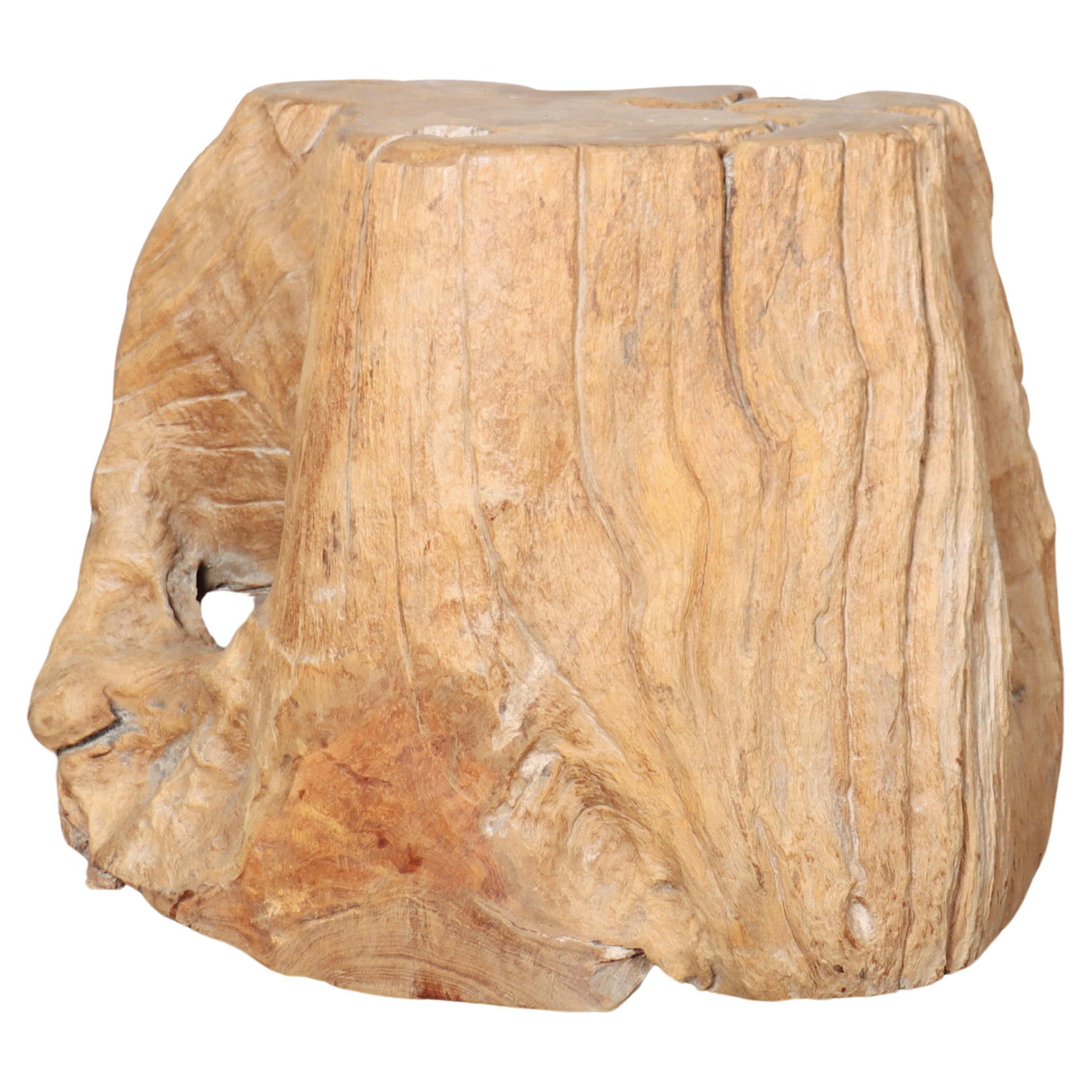 Sculptural Root Side Table For Sale