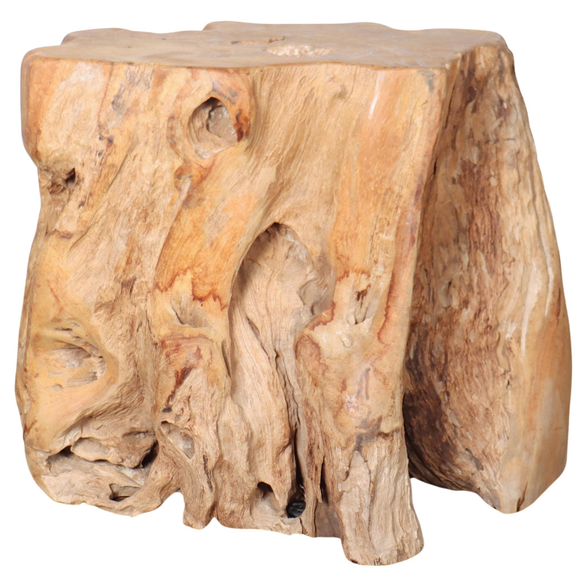 Sculptural Root Side Table