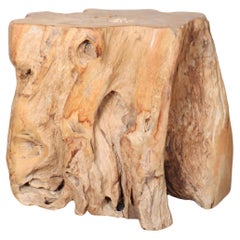 Sculptural Root Side Table