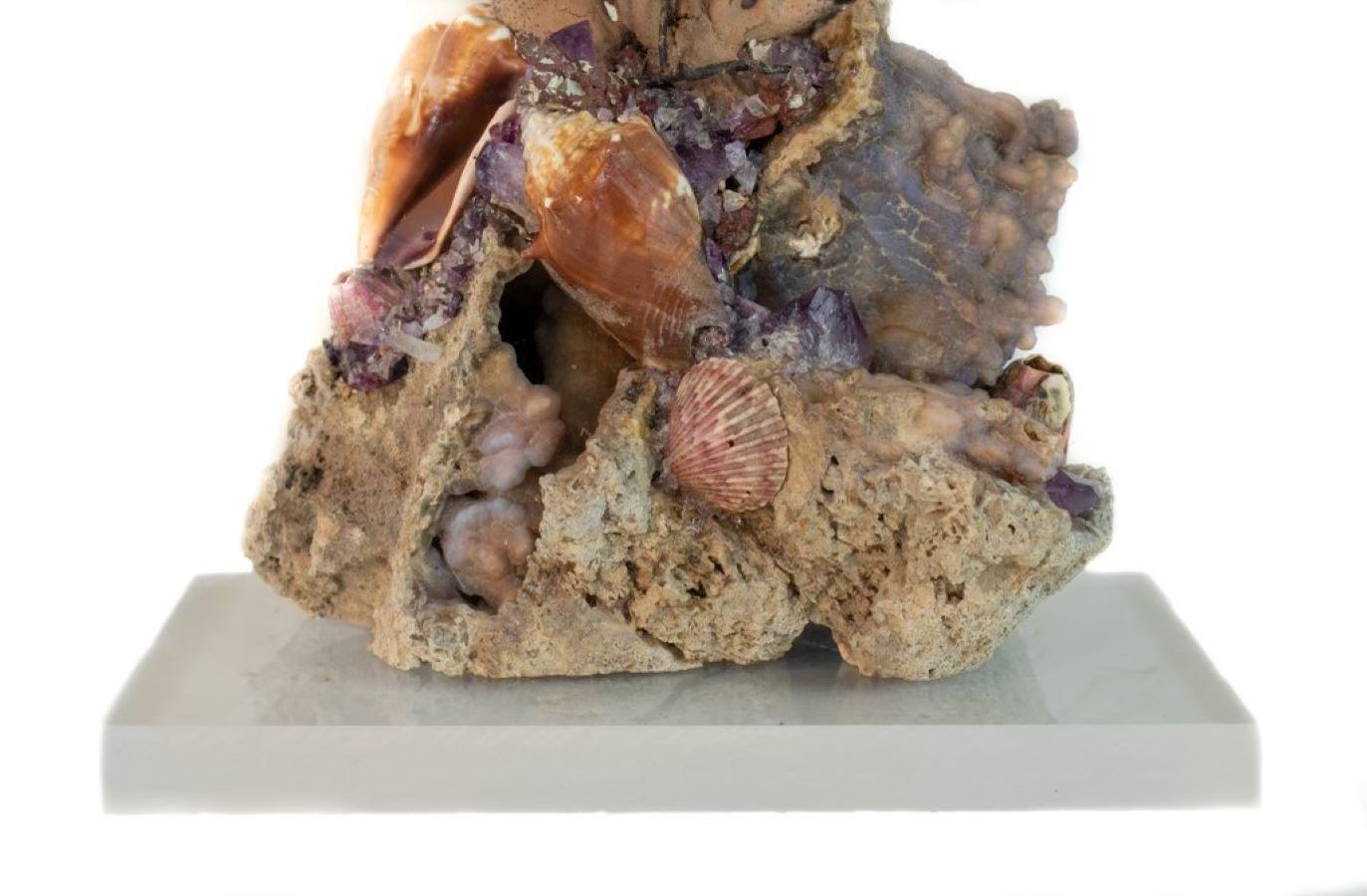Organic Modern Sculptural Sea Fan with Amethyst and Shells on Agatized Coral and Lucite Base