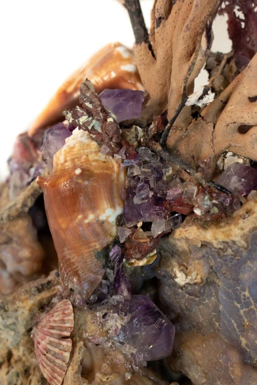 American Sculptural Sea Fan with Amethyst and Shells on Agatized Coral and Lucite Base