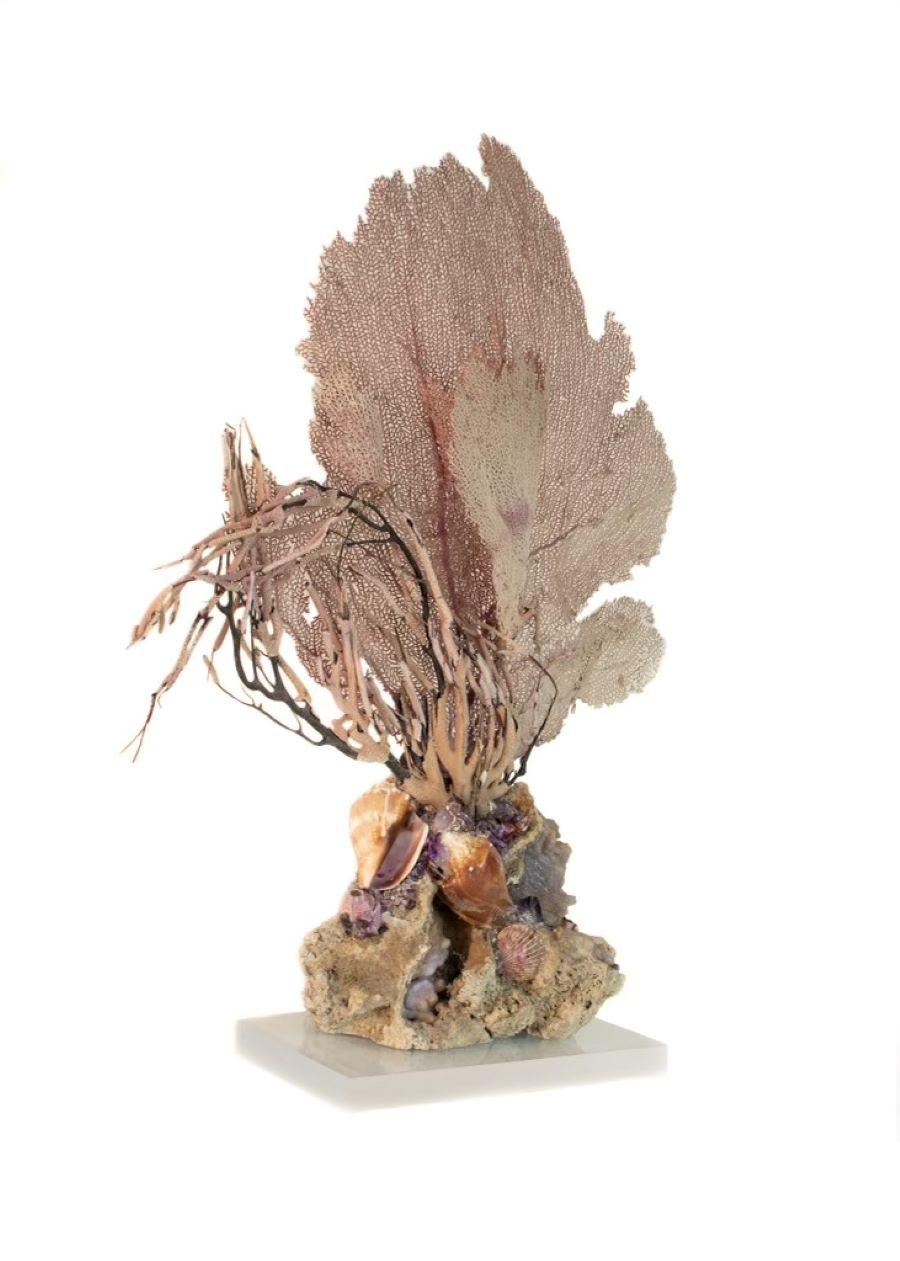 Hand-Carved Sculptural Sea Fan with Amethyst and Shells on Agatized Coral and Lucite Base