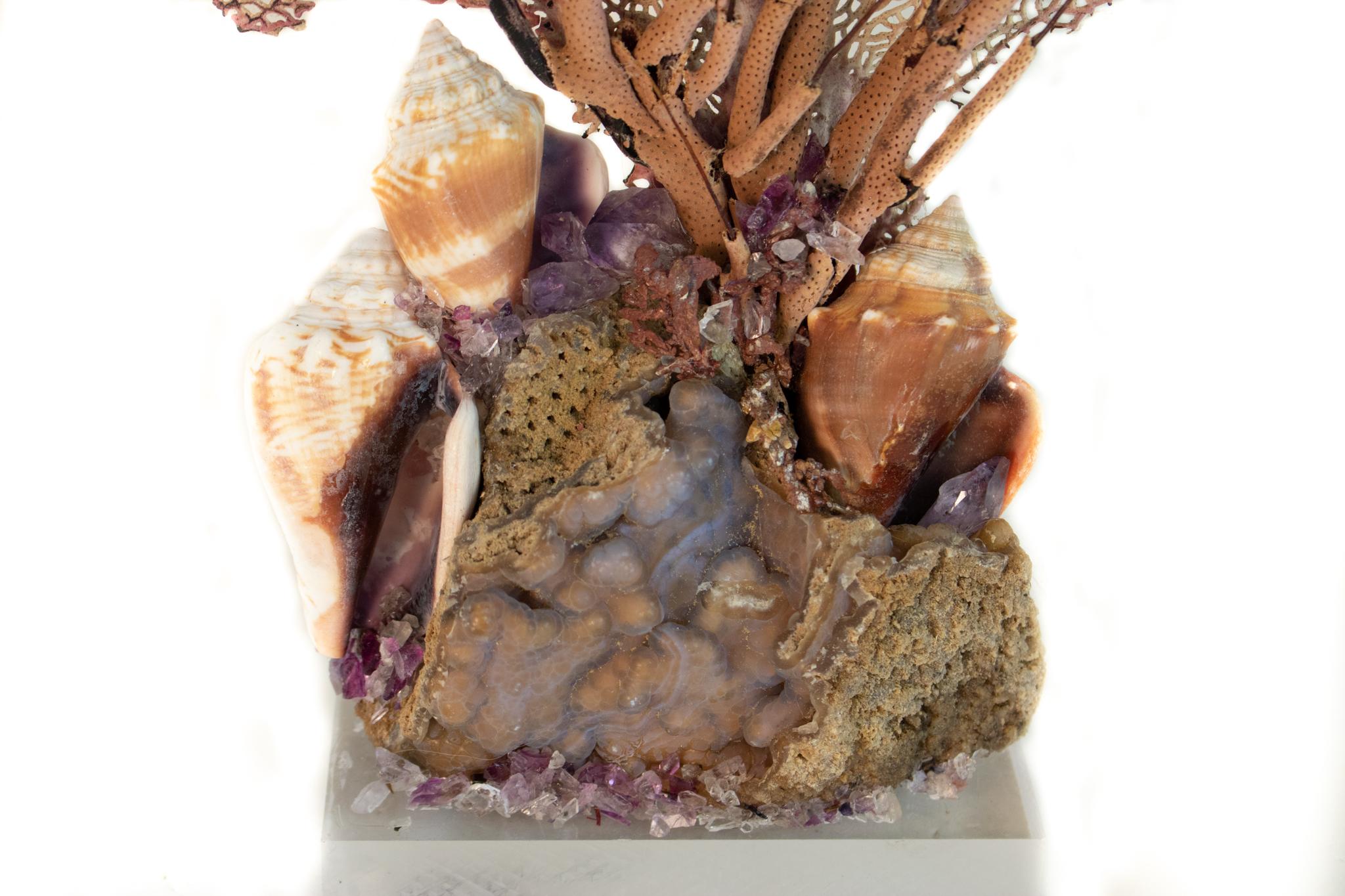 Sculptural sea fan with its coordinating sea whip and adorned with amethyst and shells on agatized coral and Lucite base.

The sea fan and agatized coral are originally from Florida. The sea whip naturally grew with the sea fan which is unusual to