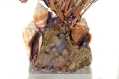 Sculptural Sea Fan with Amethyst and Shells on Agatized Coral and Lucite Base