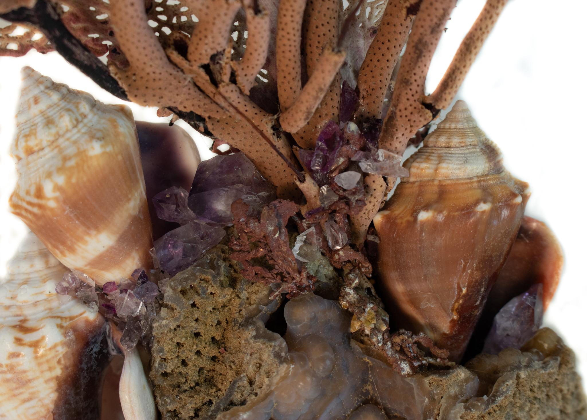 American Sculptural Sea Fan with Amethyst and Shells on Agatized Coral and Lucite Base