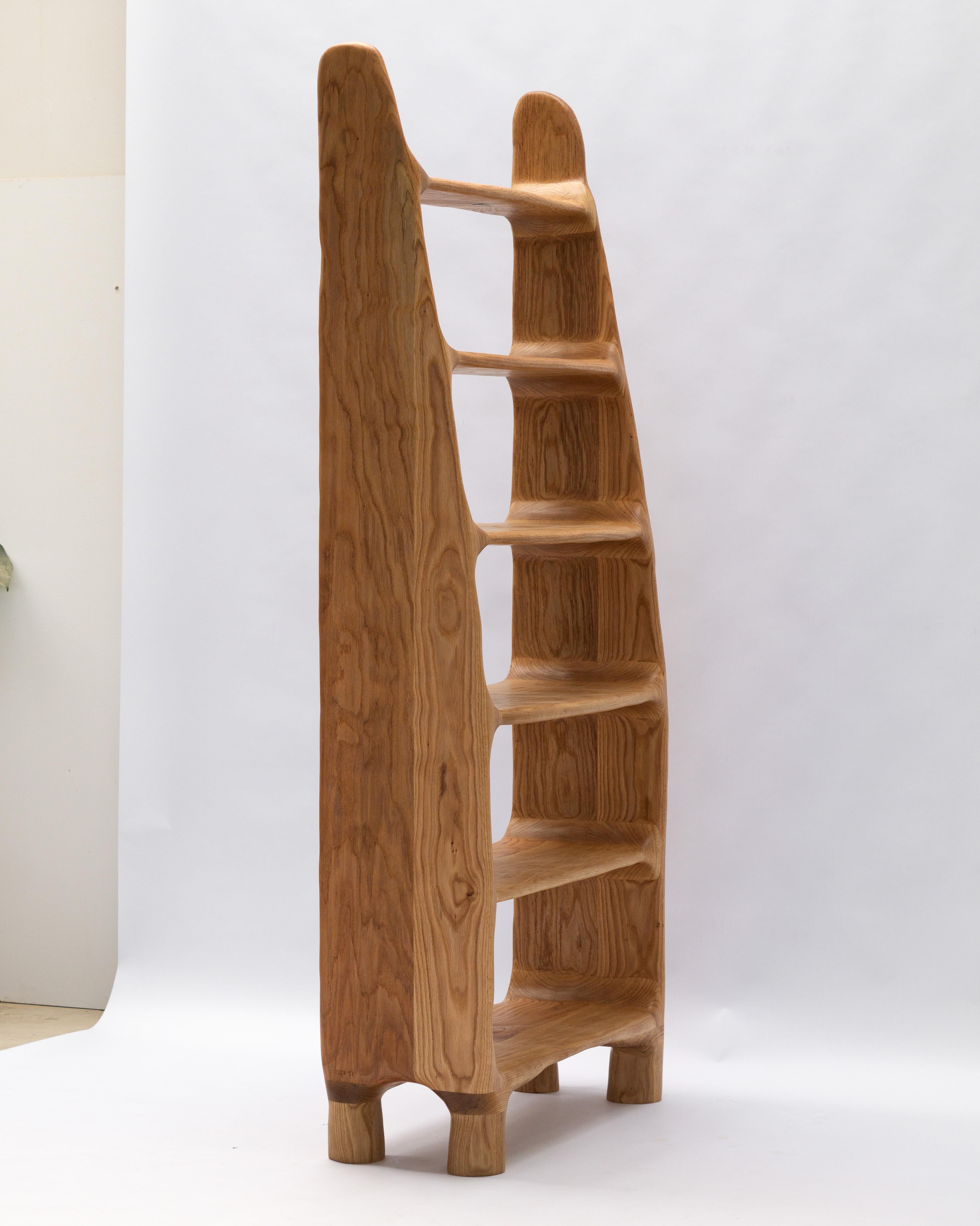 Estantería Escultórica - Estantería de Forma Orgánica en Madera de Roble Rojo 5