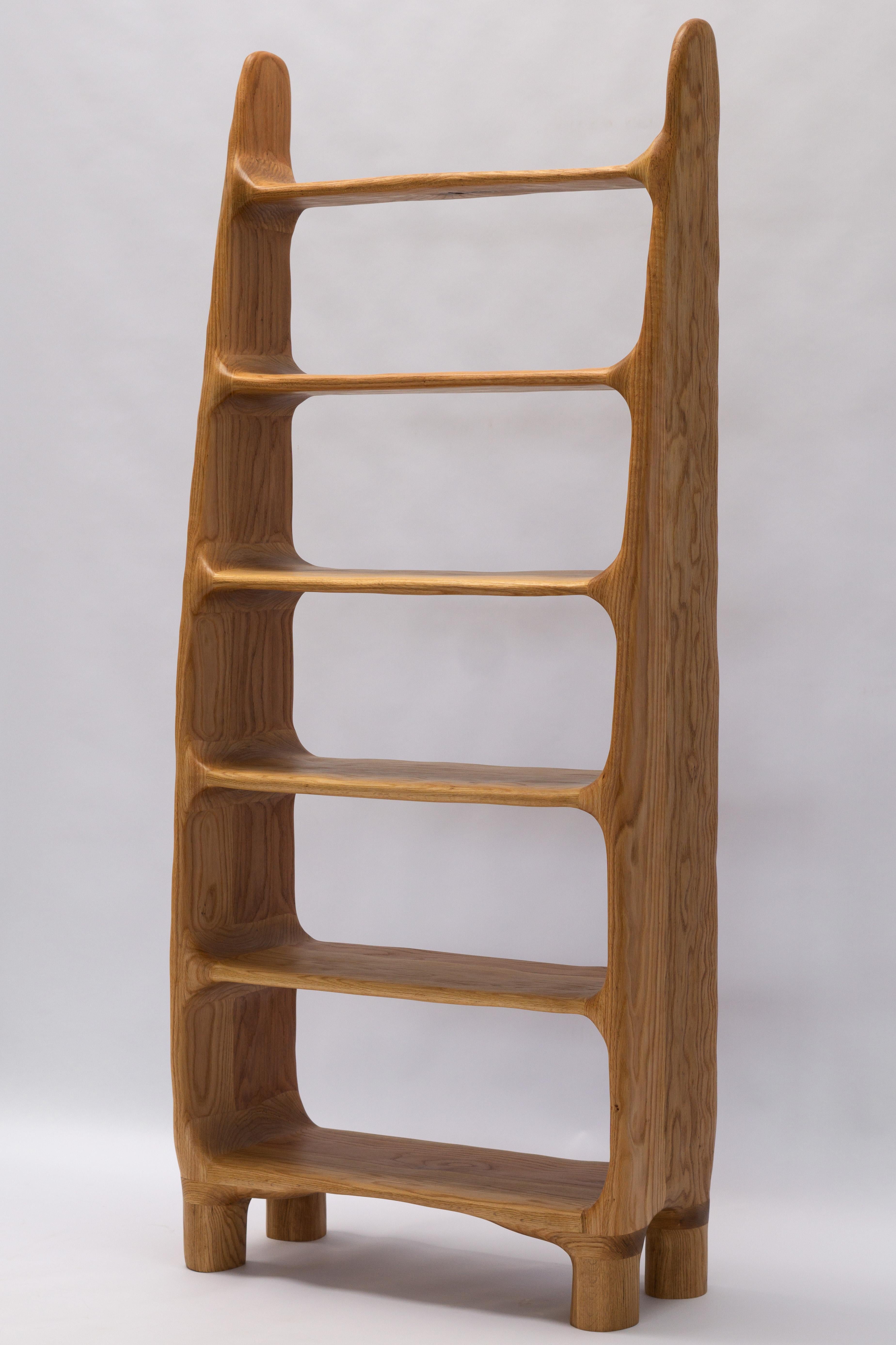 Estantería Escultórica - Estantería de Forma Orgánica en Madera de Roble Rojo 6