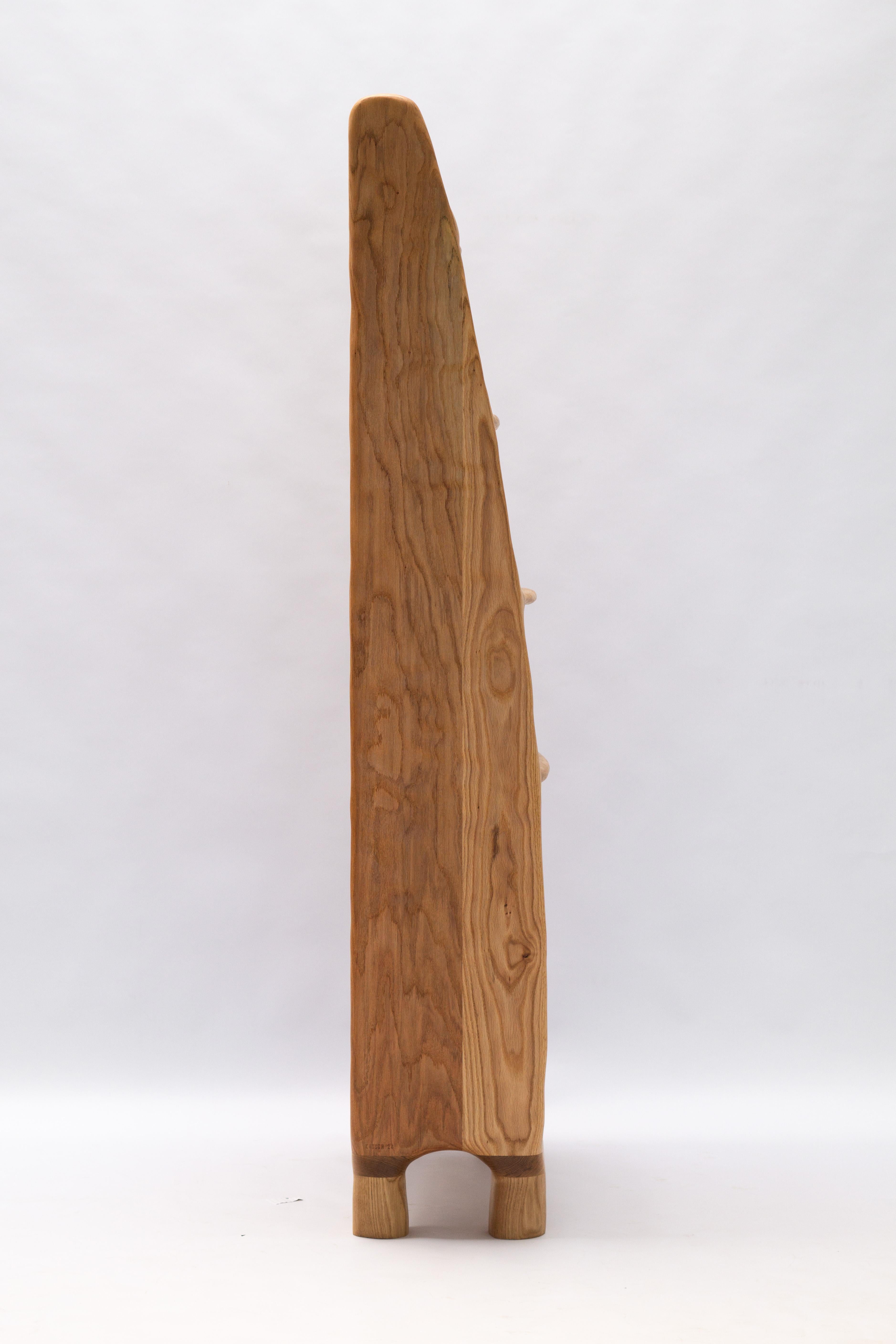 Estantería Escultórica - Estantería de Forma Orgánica en Madera de Roble Rojo Moderno orgánico