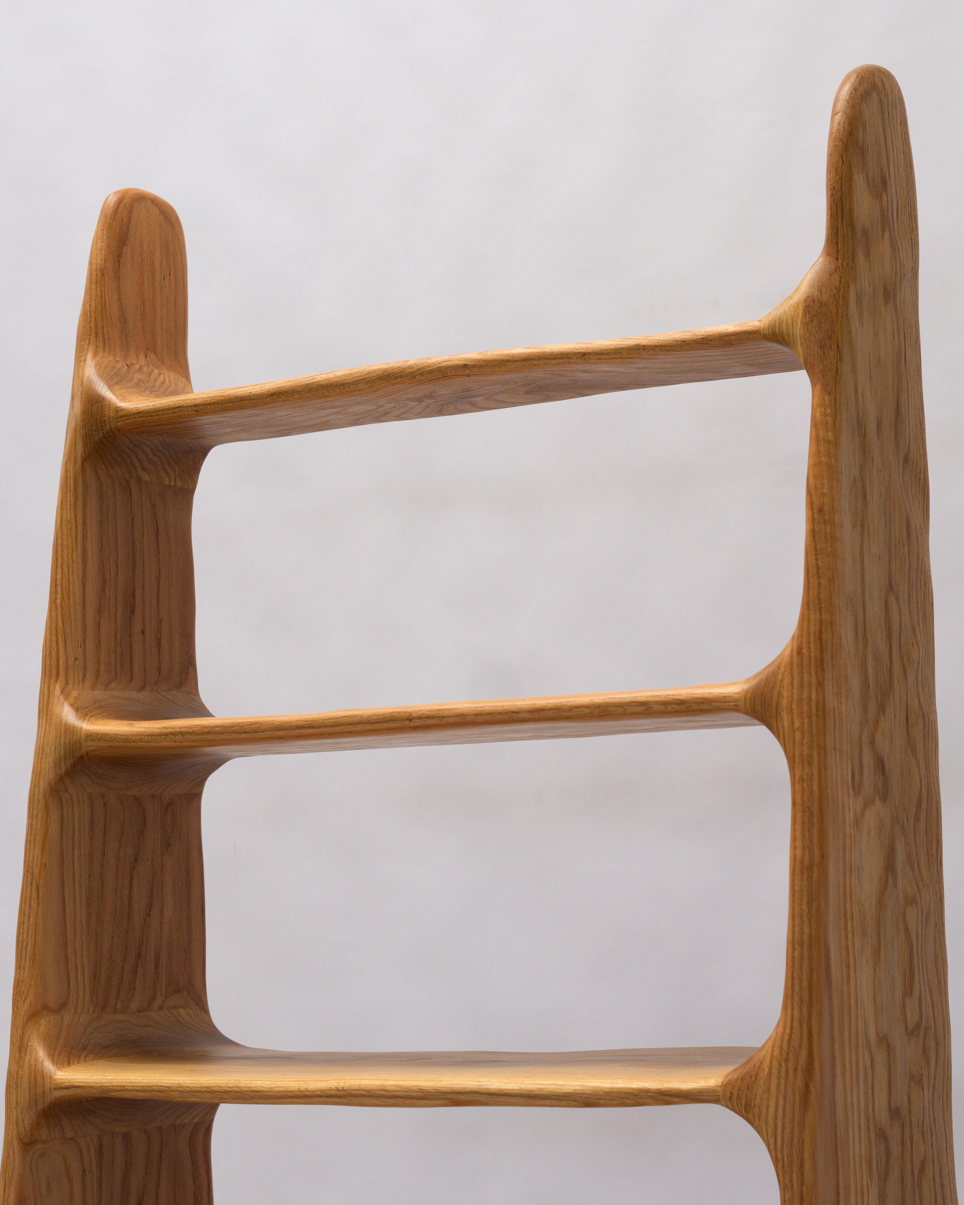 Estantería Escultórica - Estantería de Forma Orgánica en Madera de Roble Rojo Carpintería