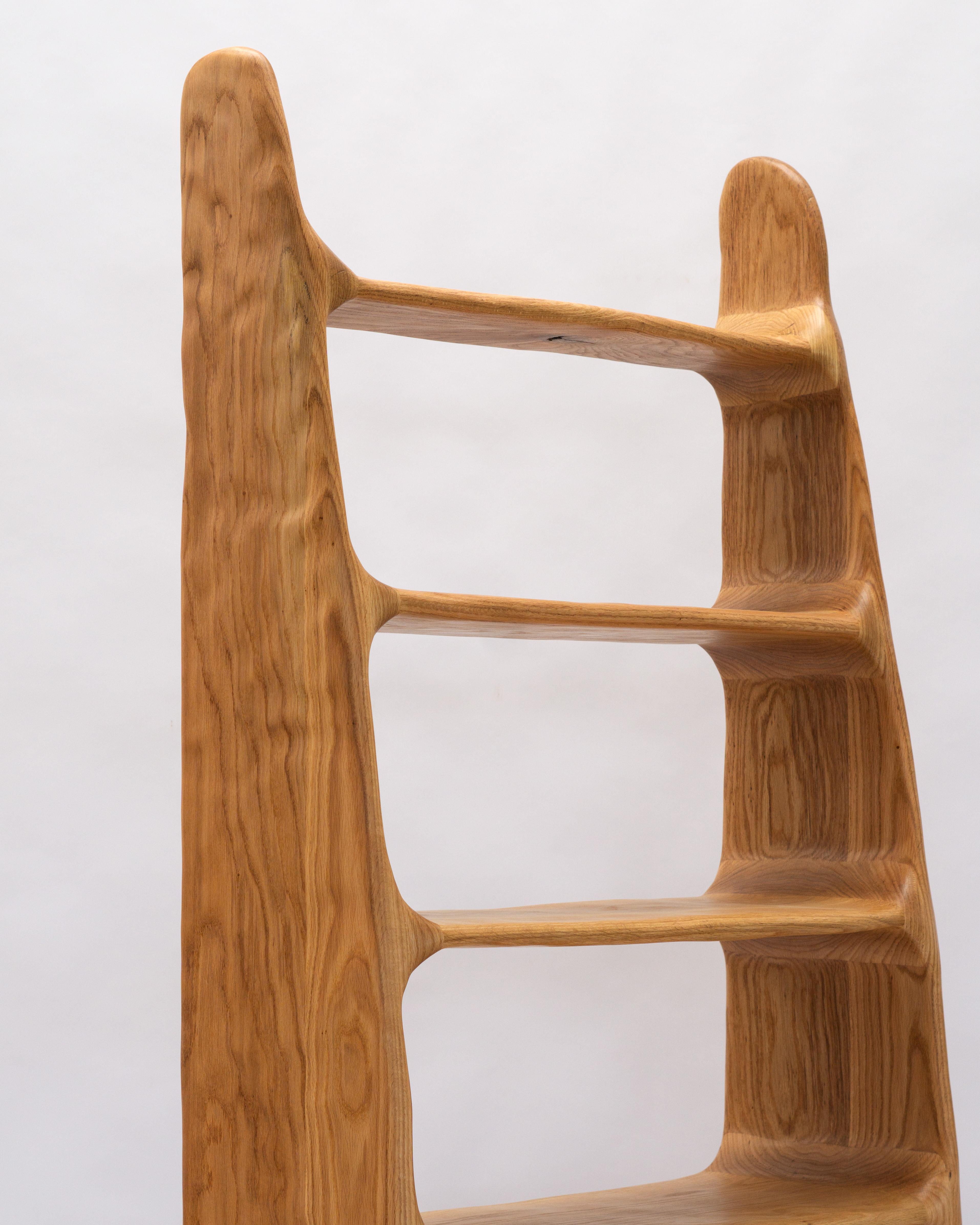Estantería Escultórica - Estantería de Forma Orgánica en Madera de Roble Rojo 1