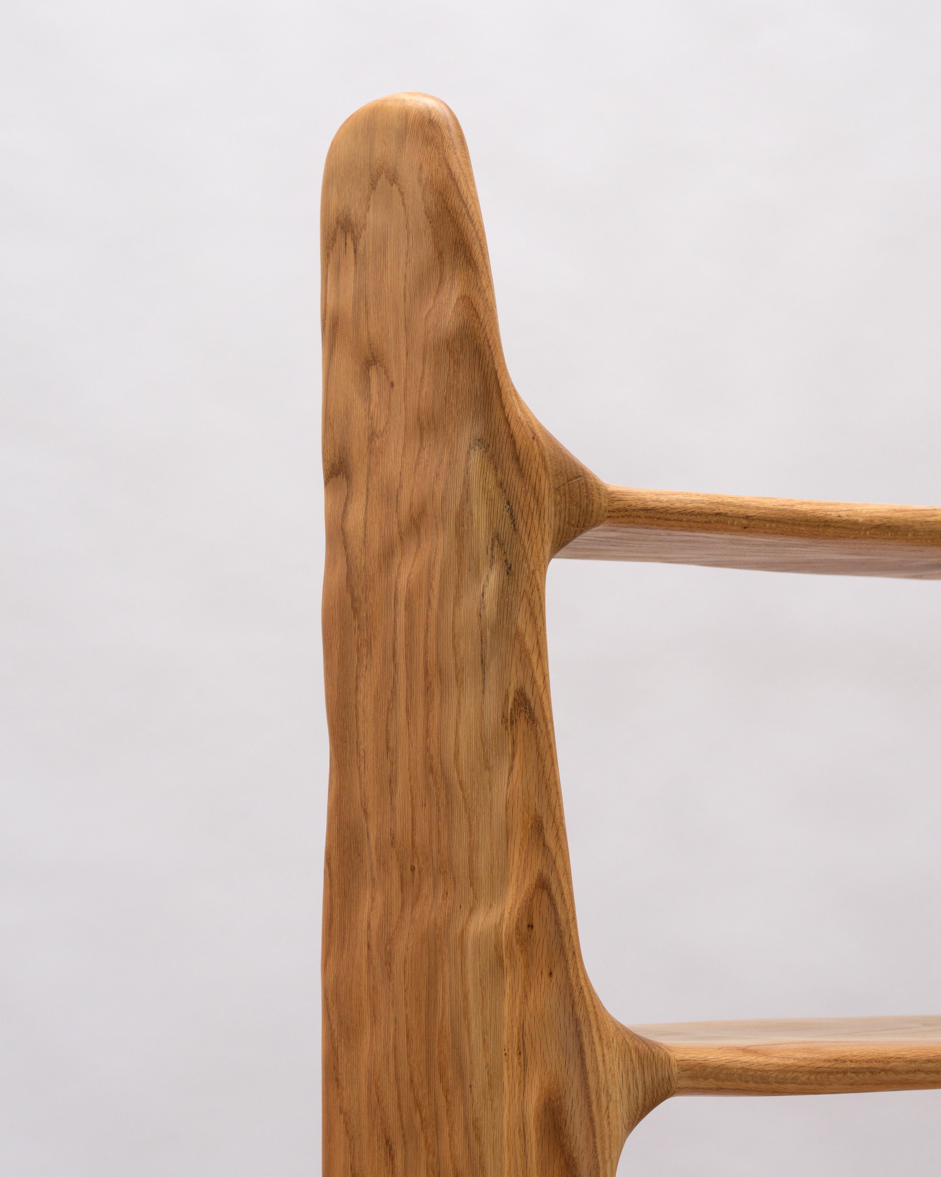 Estantería Escultórica - Estantería de Forma Orgánica en Madera de Roble Rojo 2