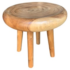 Table d'appoint sculpturale fabriquée à partir de bois de Mango